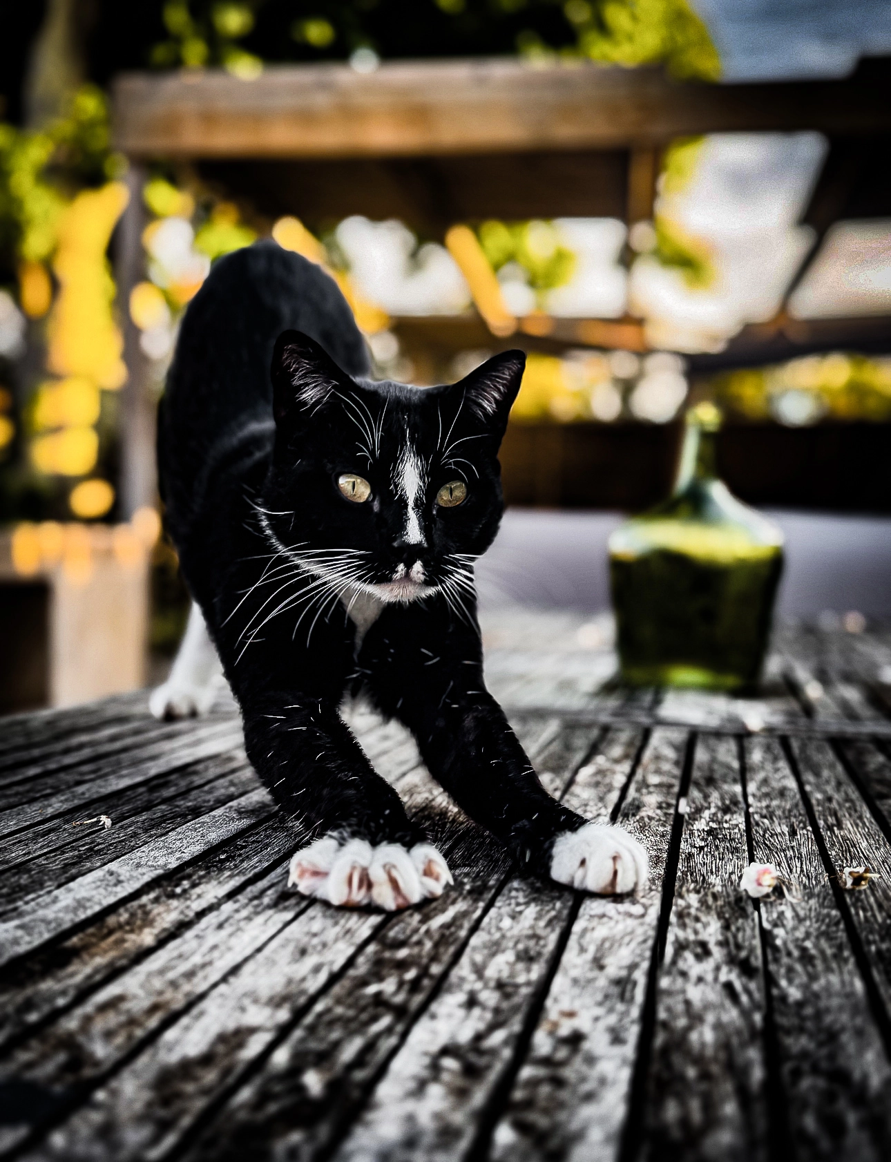 Clark  - 20 Impasse de la Bérangeraie, Grézels