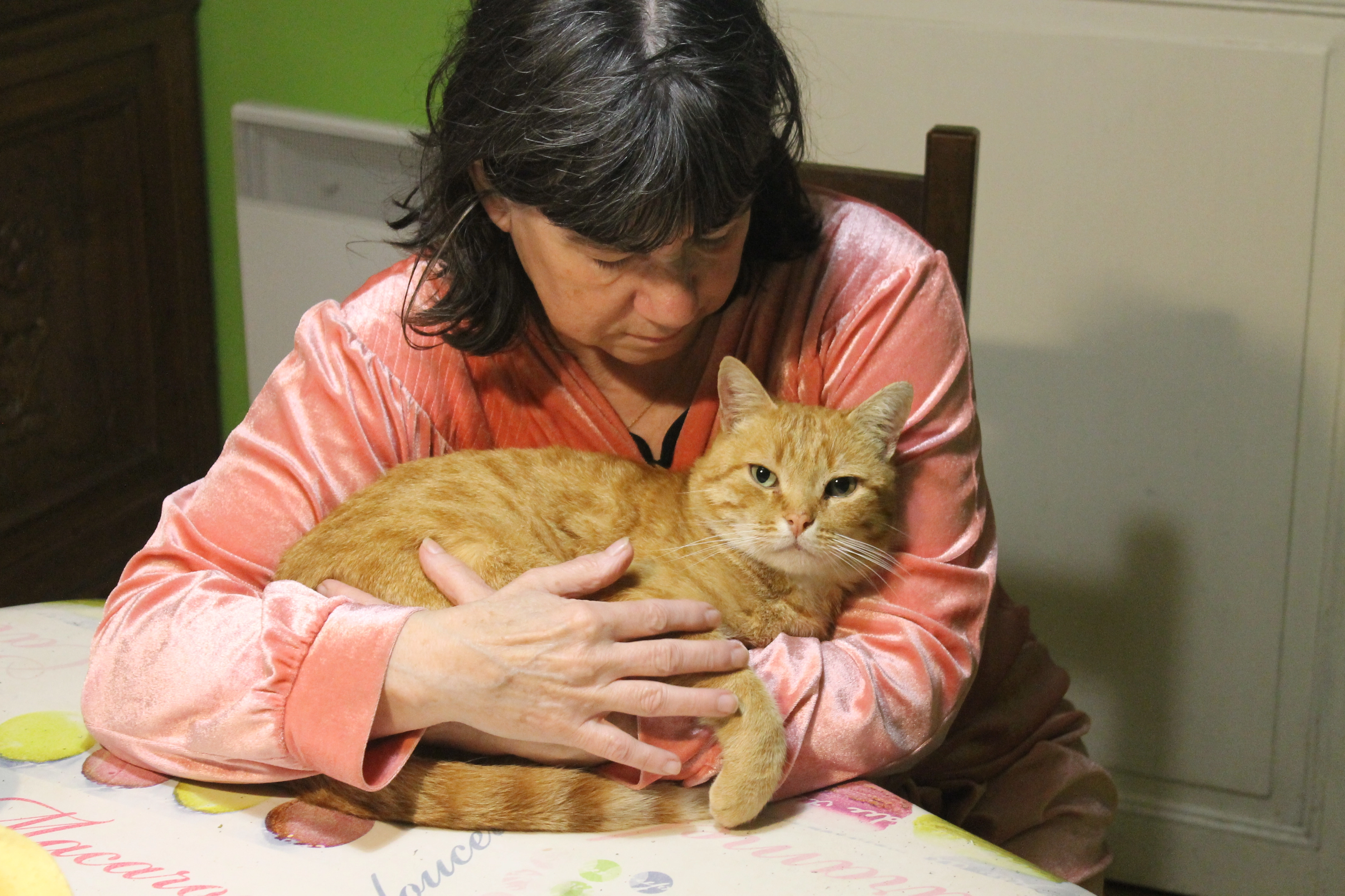 Mimi - Avenue Al Cartero le 6 mars 2025, Salies-de-Béarn