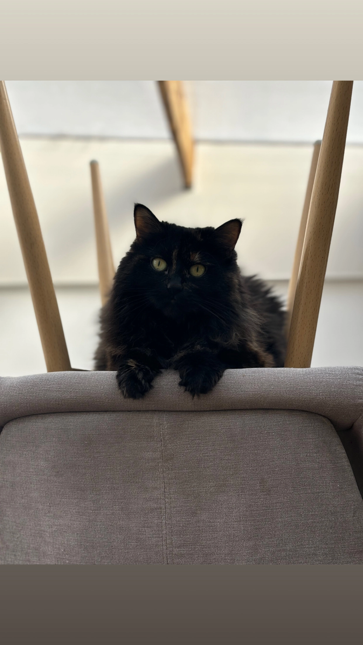 Baguy - 28 Rue Rembrandt, Calais