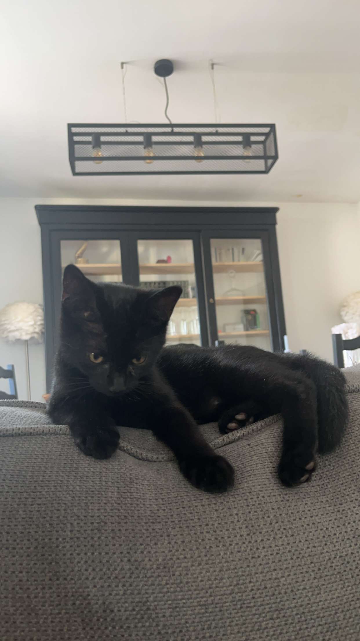 Venus  - 7 Boulevard Ernest Noël, Noyon