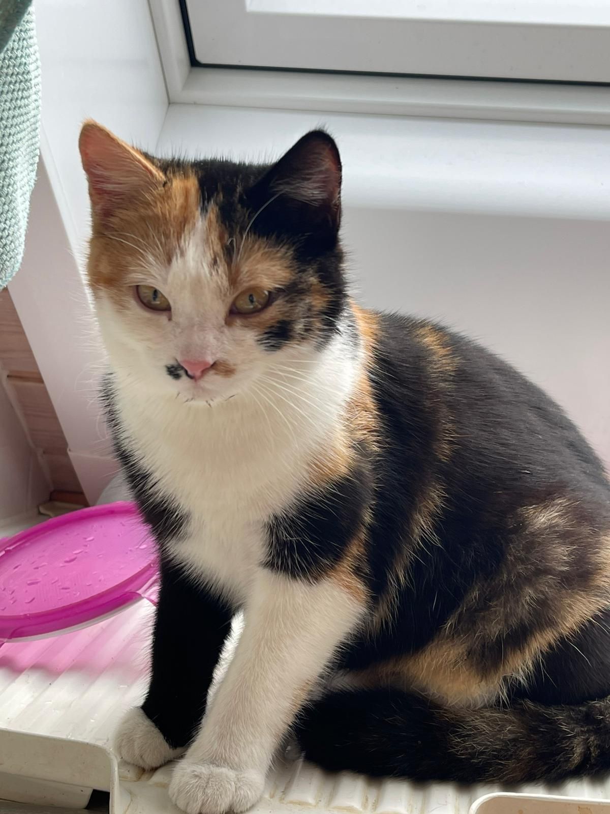 Baby - Ittlinger Mühle, Simmelsdorf