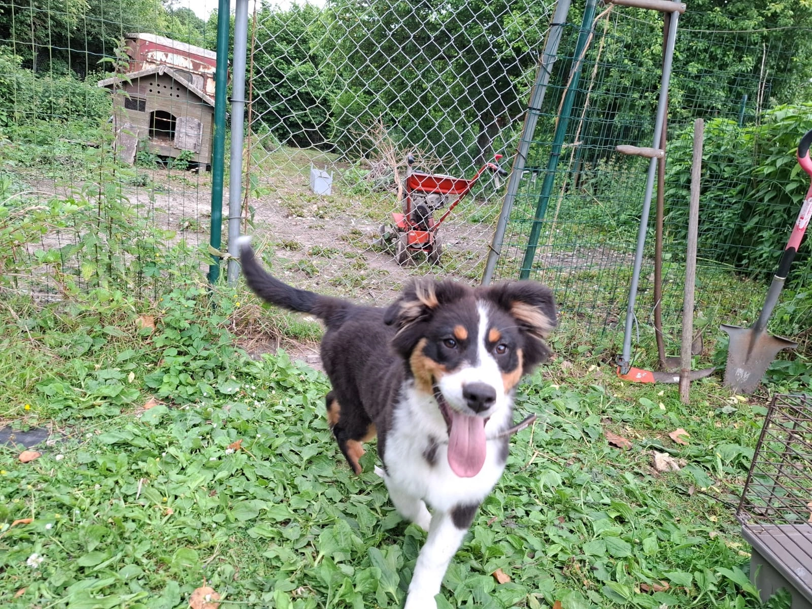 Max - Rue De Vissoul, Burdinne