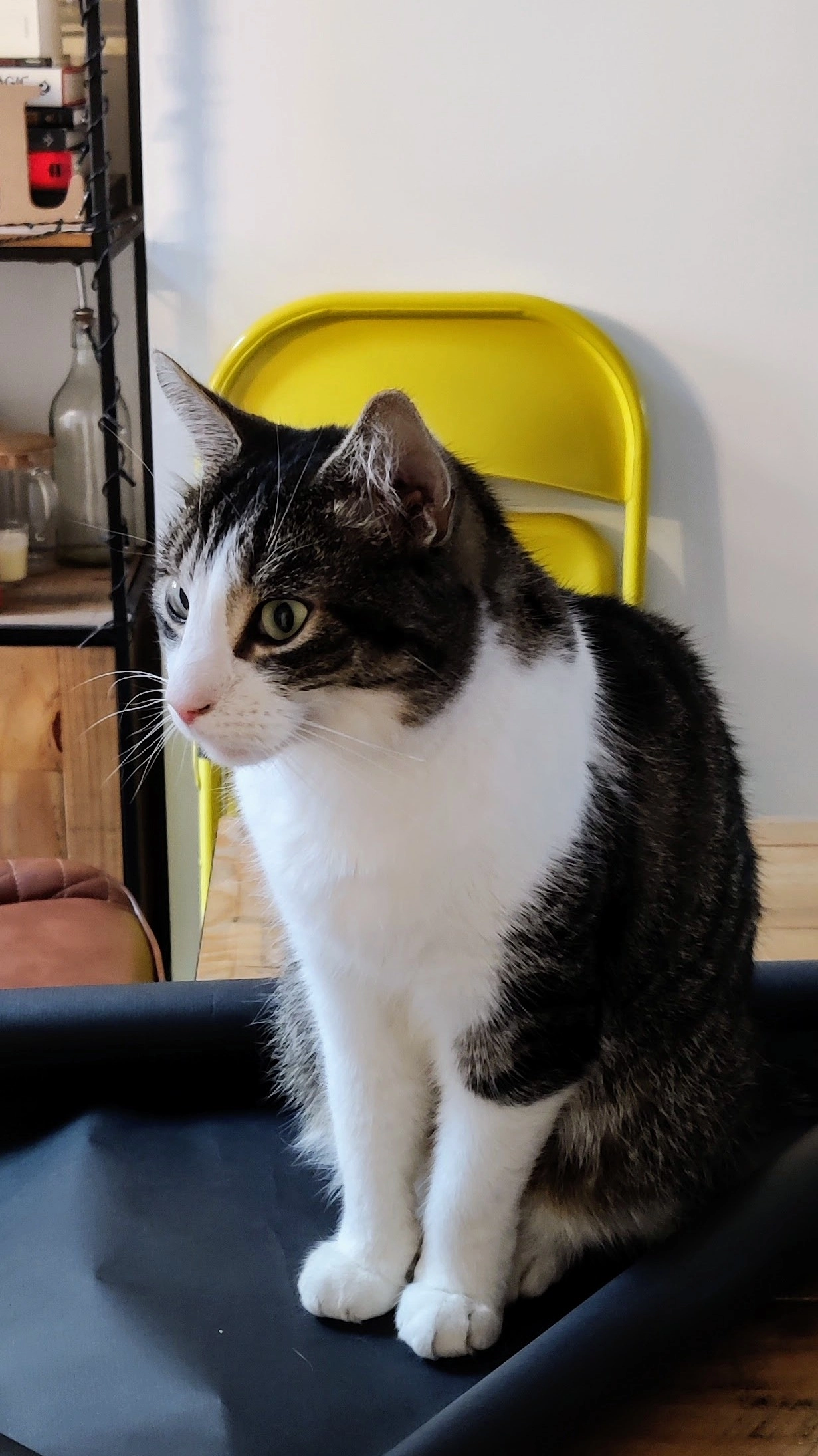 Lorcan - Hill Street, Dundalk