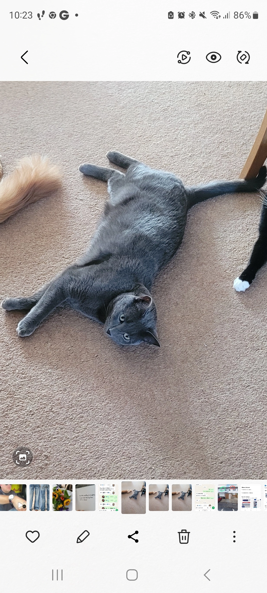 Borys - LU6 3, Dunstable