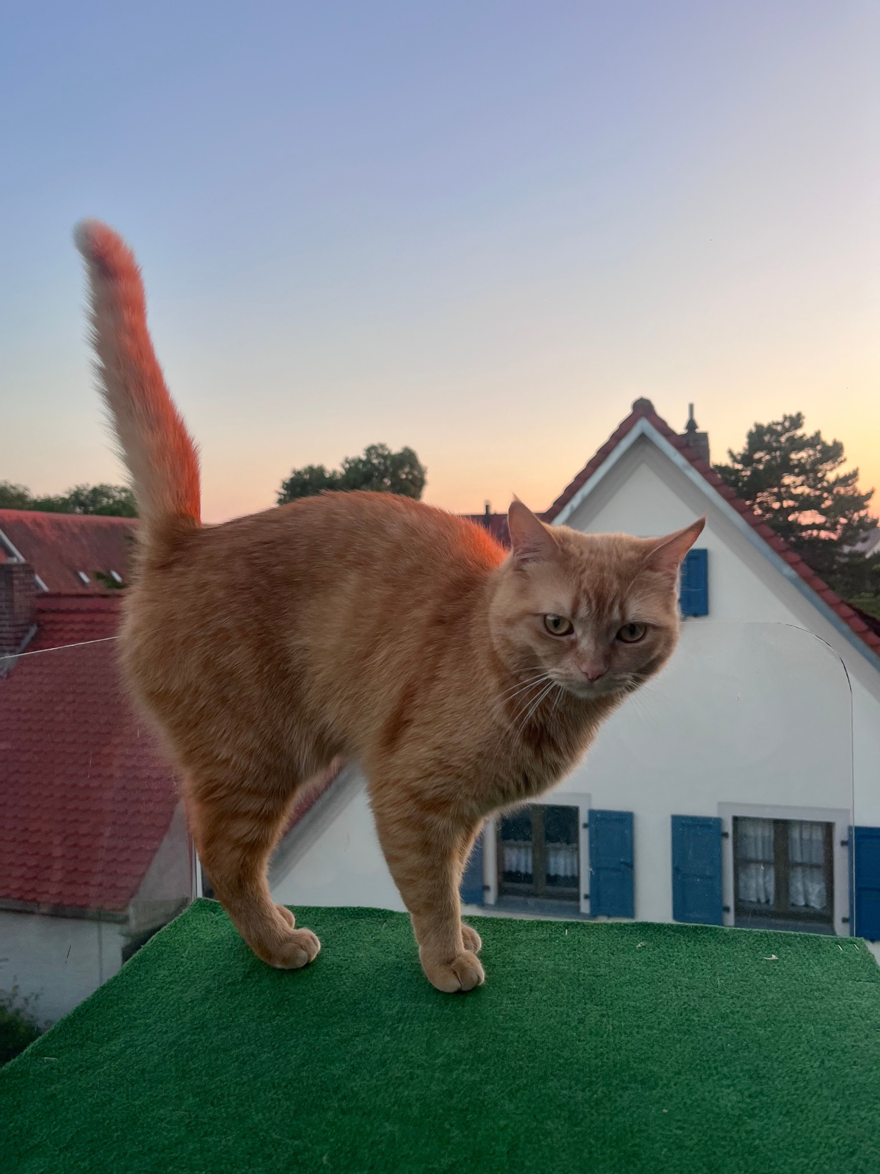 Coco - Hauptstraße, Schernfeld