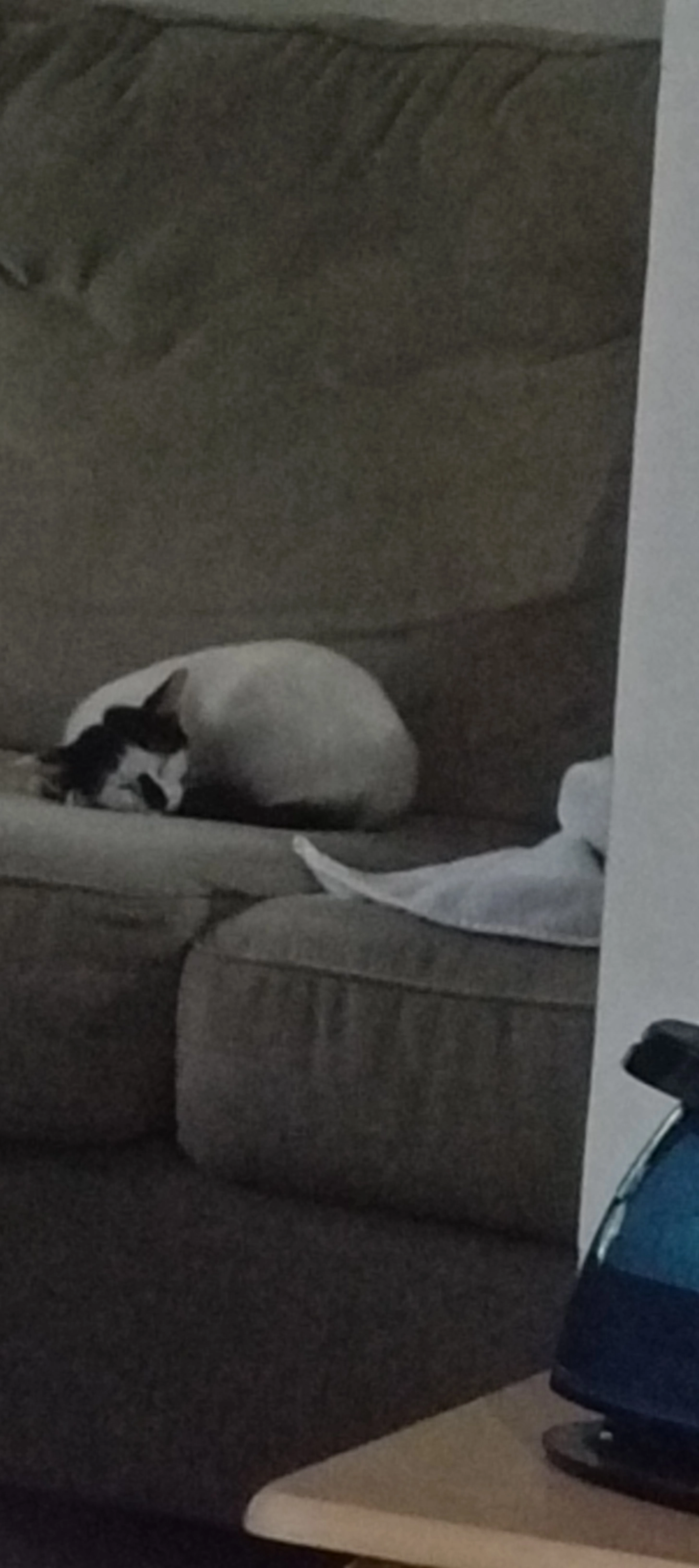 Panda - 43000, Kajang