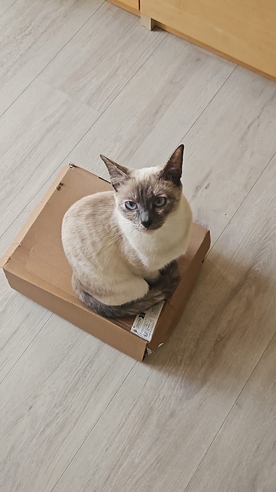 Aya - Robert-Koch-Straße, Bad Pyrmont