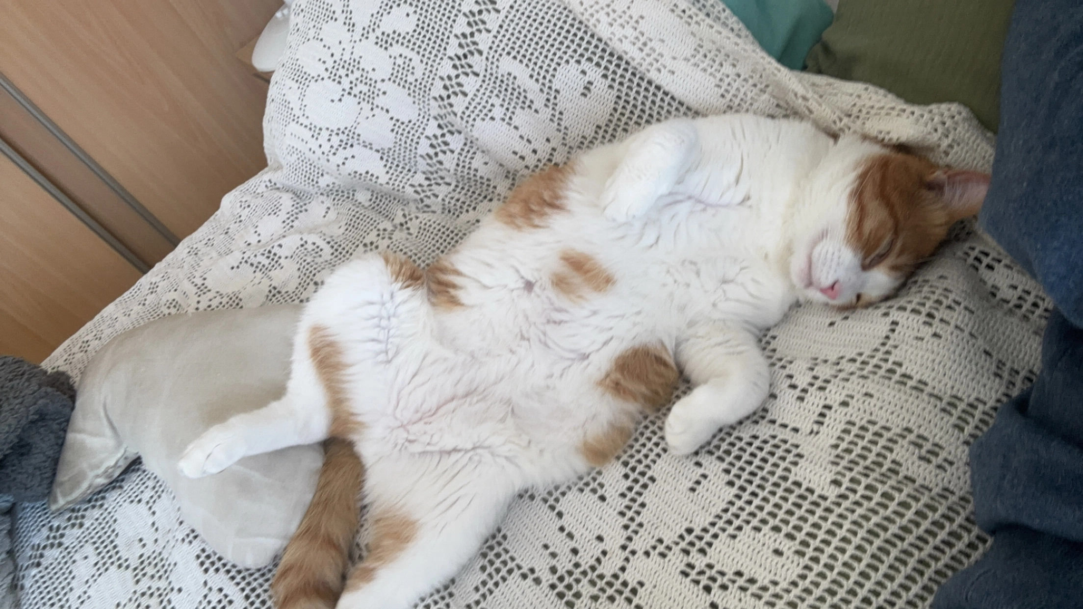 Tygrou - 86 Rue des Palombes, Aramon