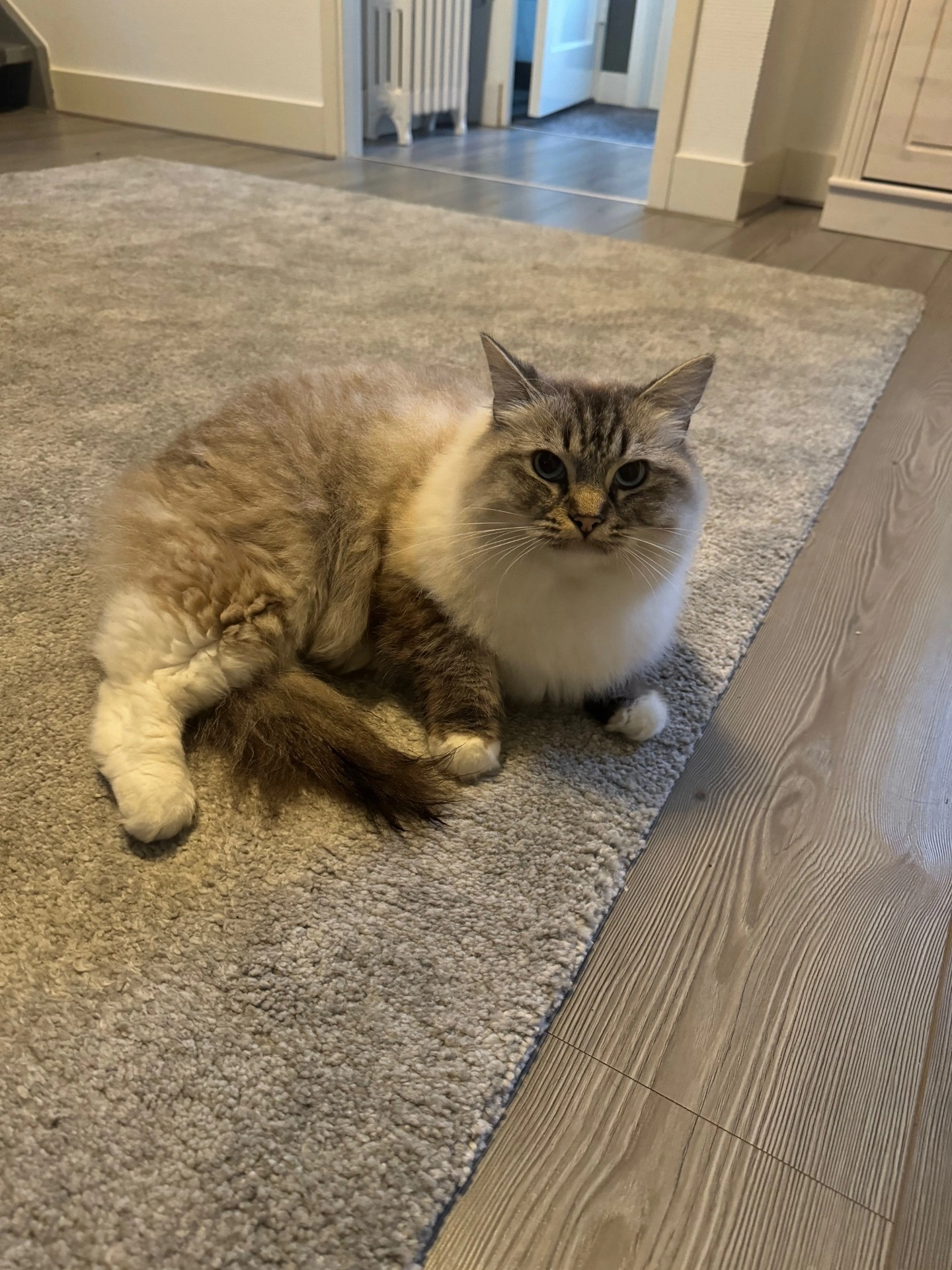 Han - Sluispad, Wormerveer