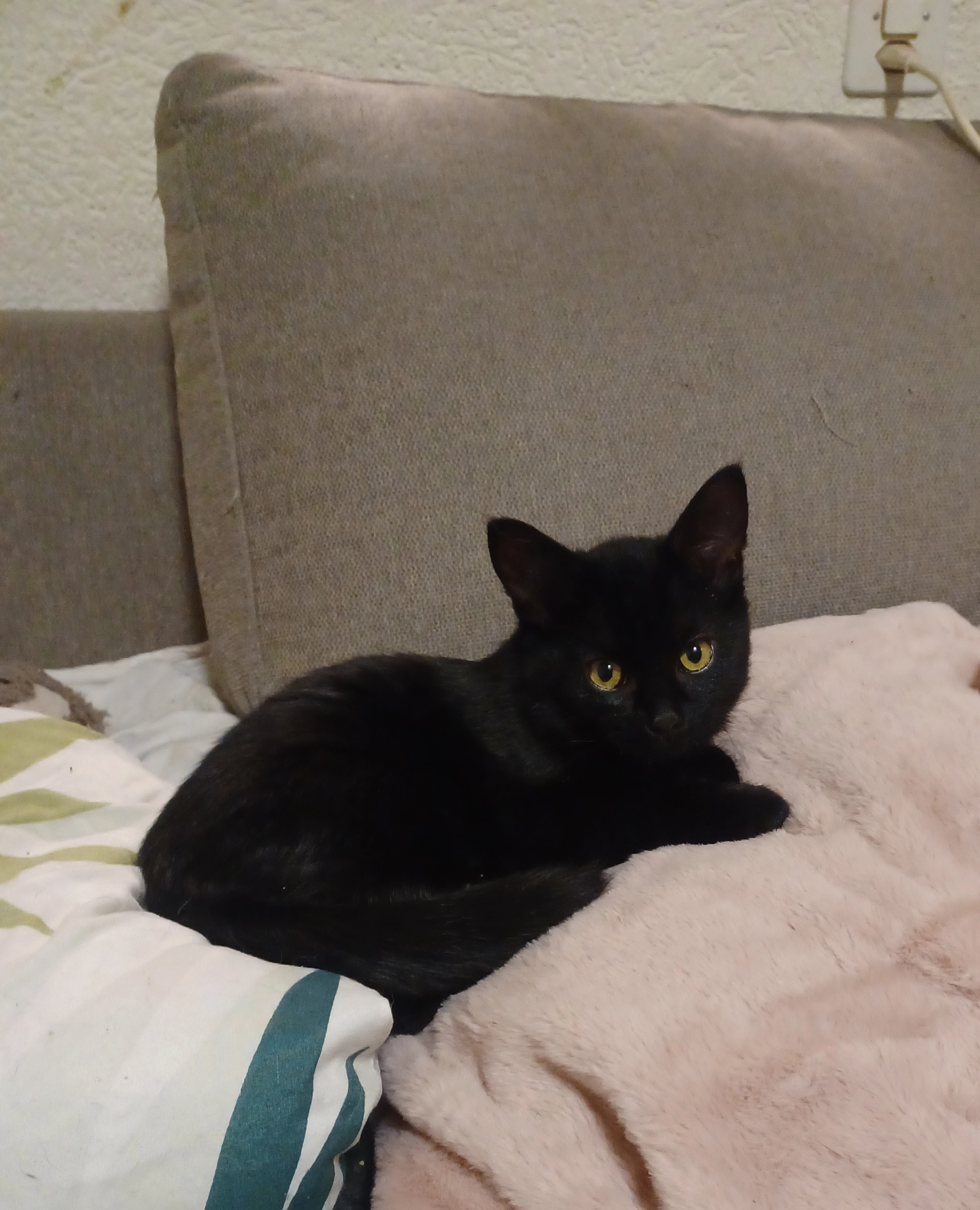 Onyx  - Route des Bernunes 10, Sierre