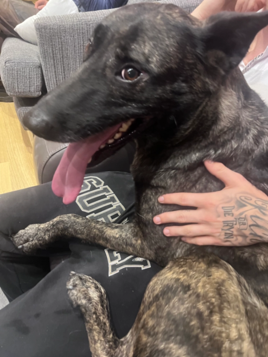 Hope - CV2 1, Coventry