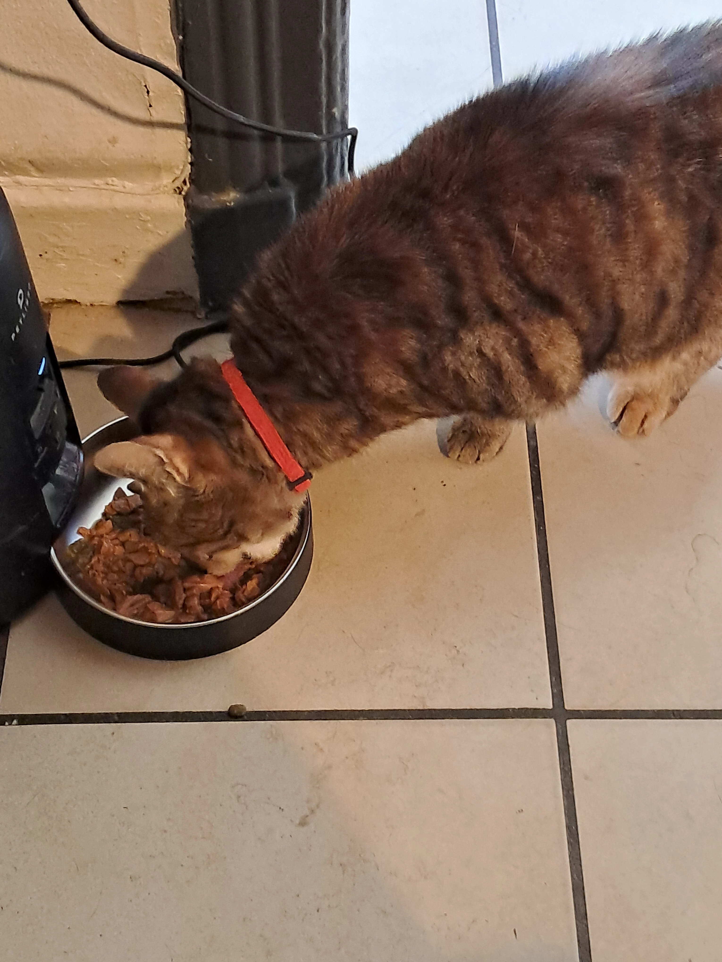 JAJA - 19 Rue du Général de Gaulle, Sens