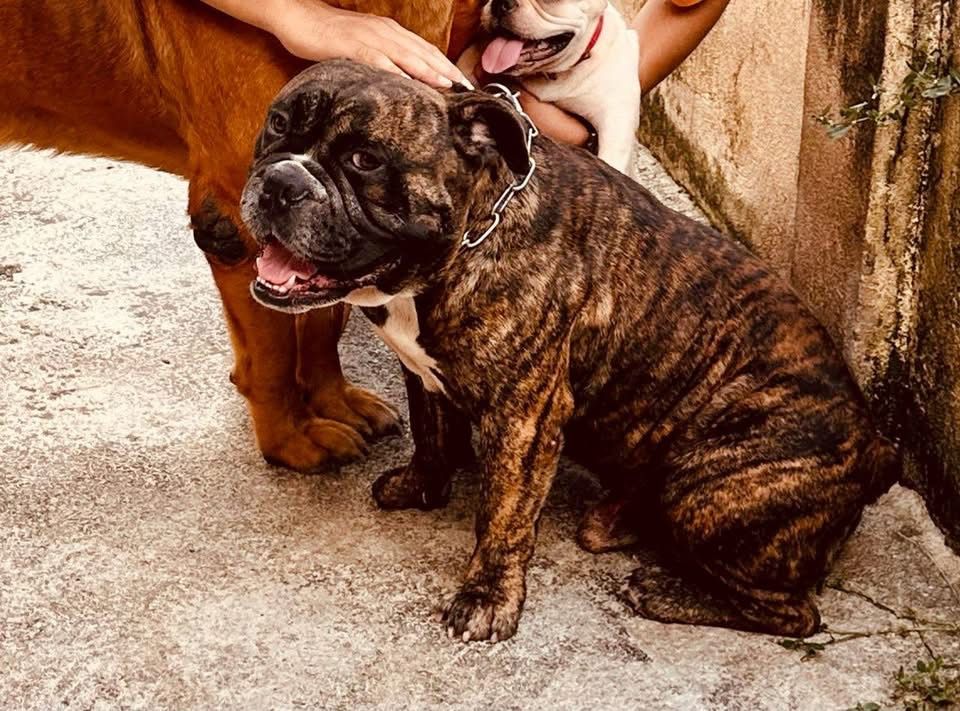 Billy & Bella - Jalan Puchong Utama 1, Petaling