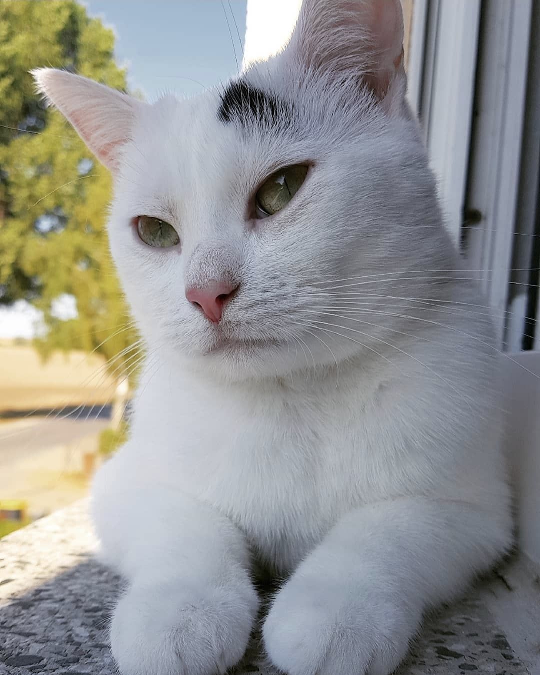 Mimi - Dorfstraße, Nemsdorf-Göhrendorf