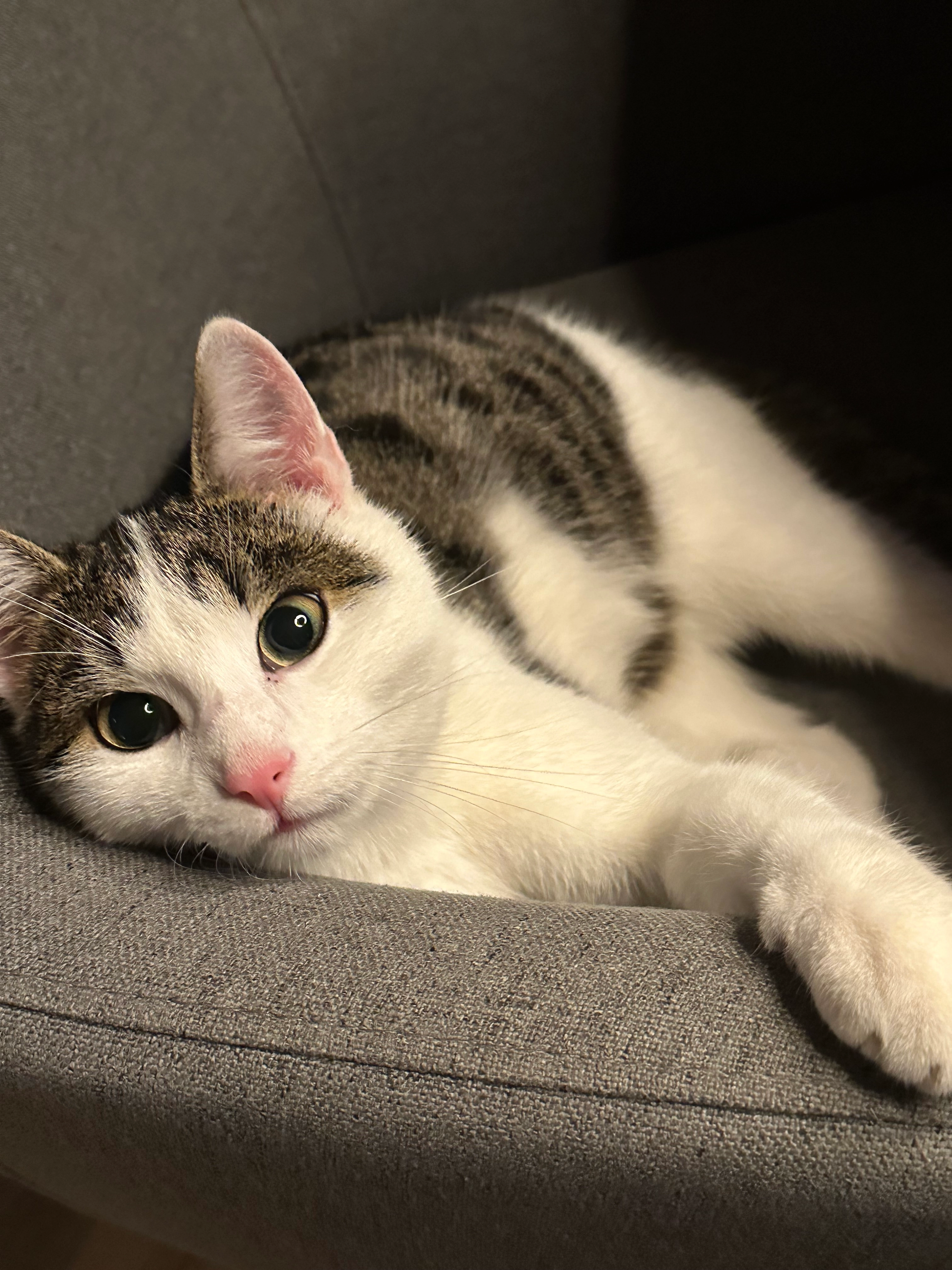 Hugo - Wagnerstraße 22, Plauen