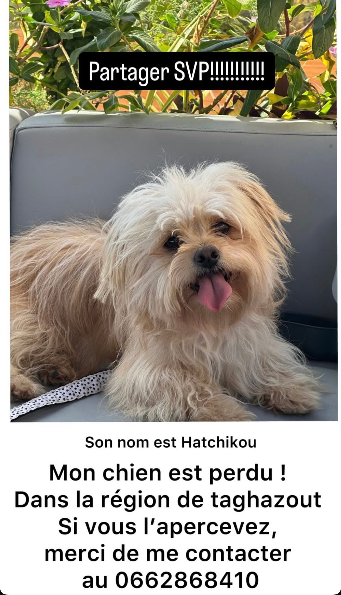 Hatchiko - Boulevard Taghazout, Agadir