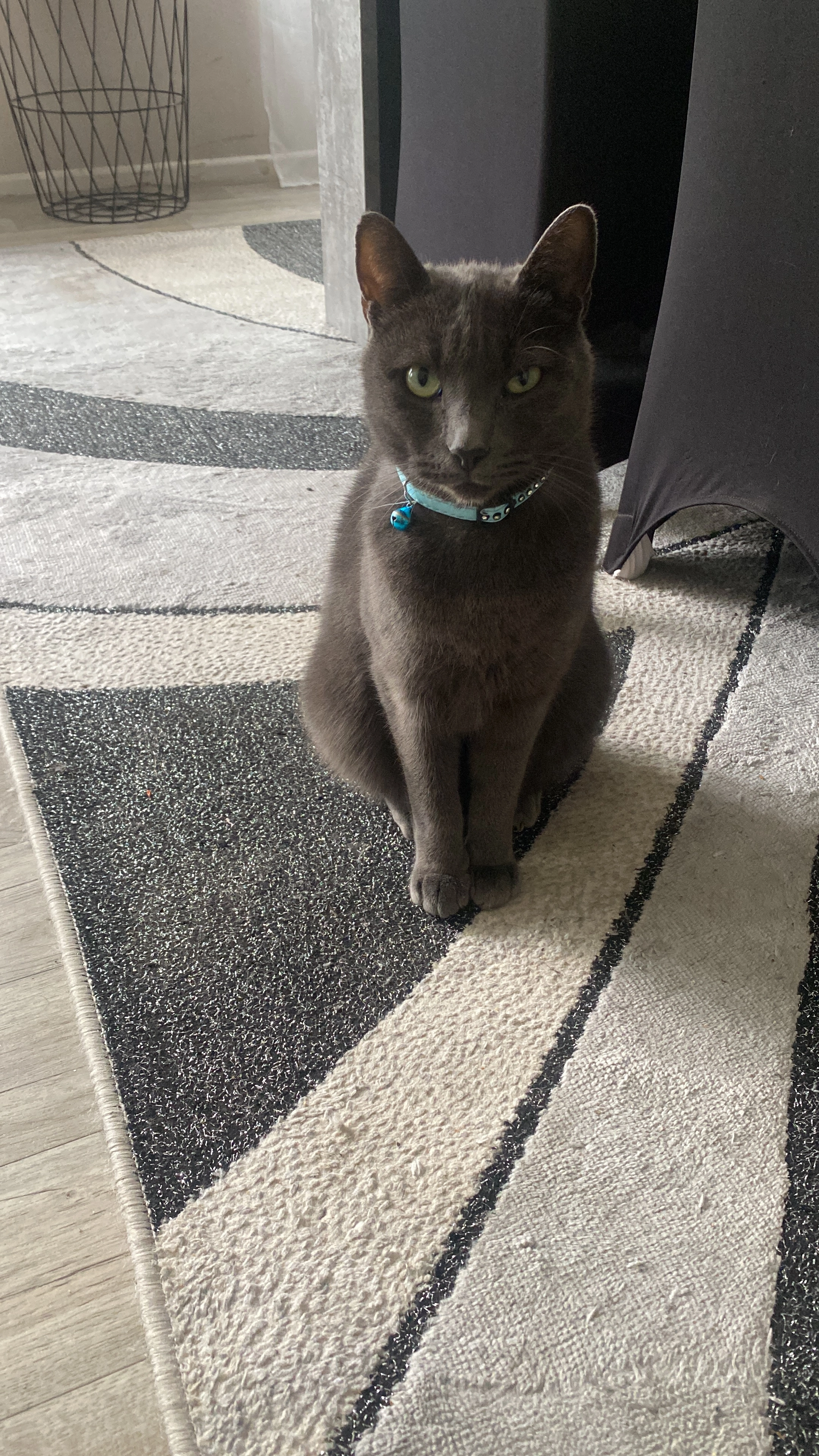 Choupit  - La Rougearié, Aussillon