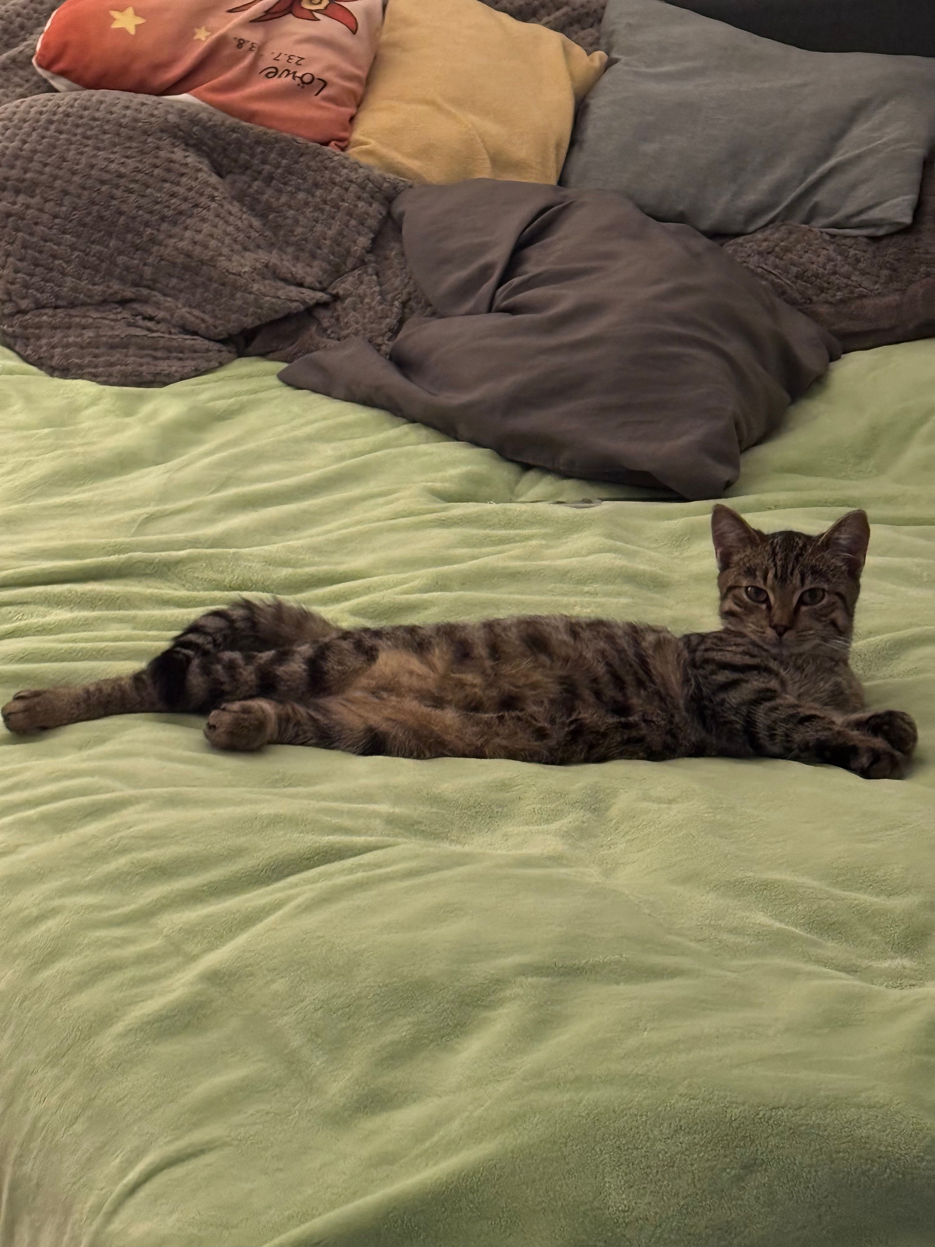 Pupsik - Sünkenberg, Stolzenau