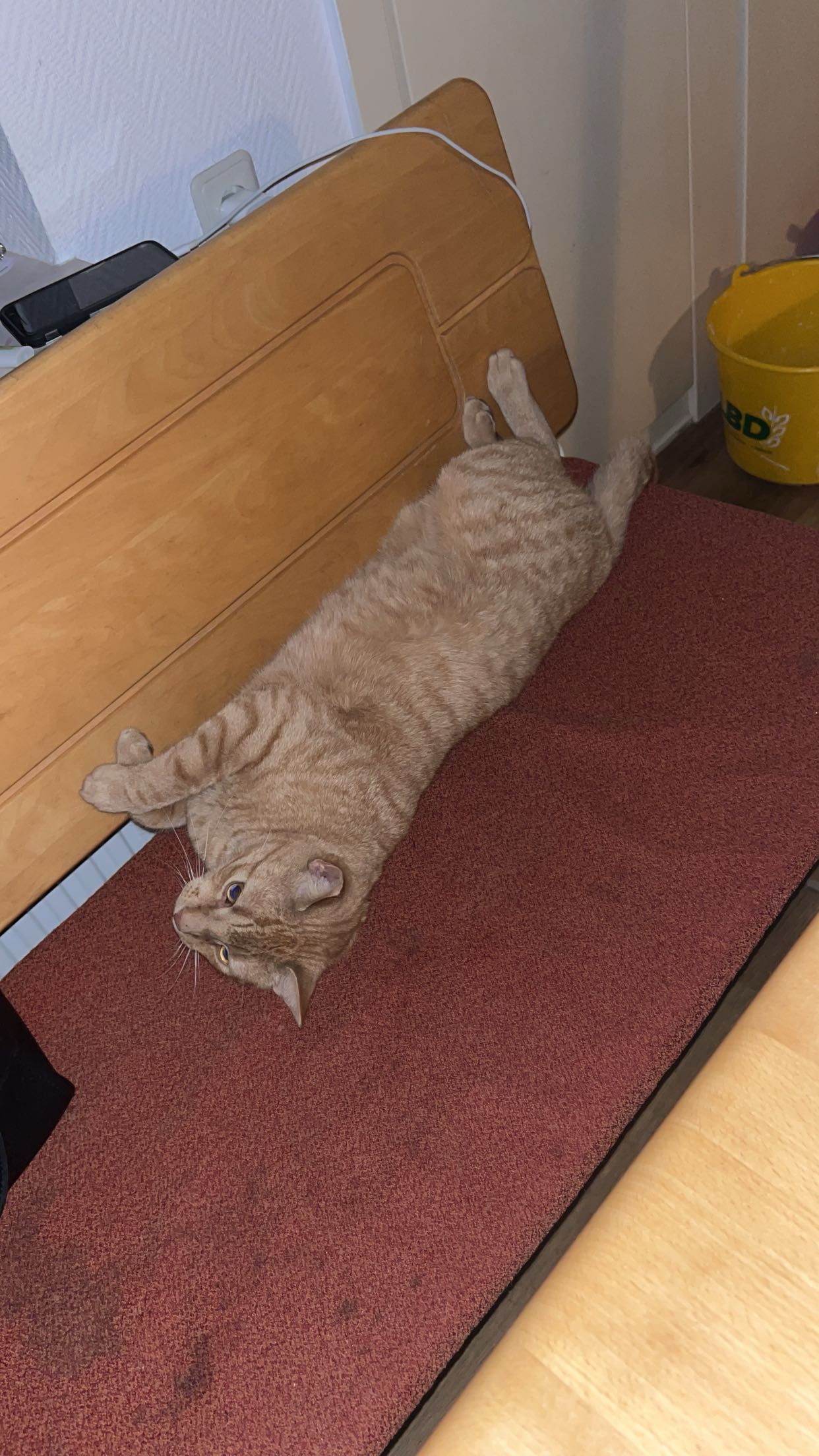 Mitek  - Heidewinkel, Steinfeld