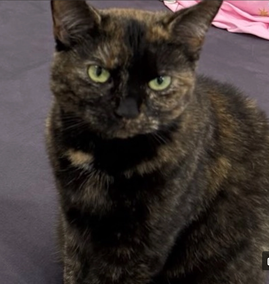 Mau Mau - Zum Gewerbegebiet, Eppendorf