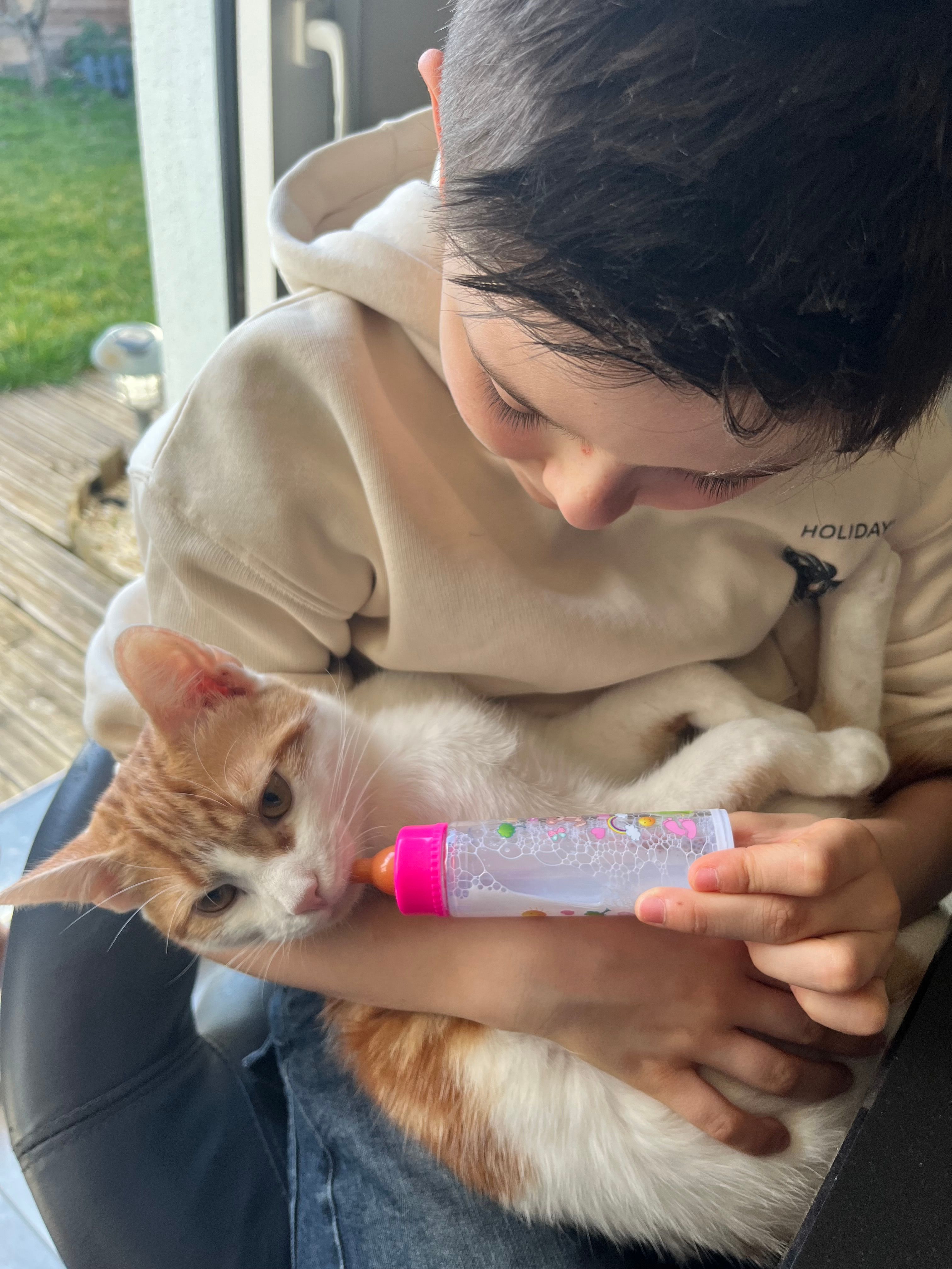 Daryl - 24 Rue Curie, Ingersheim