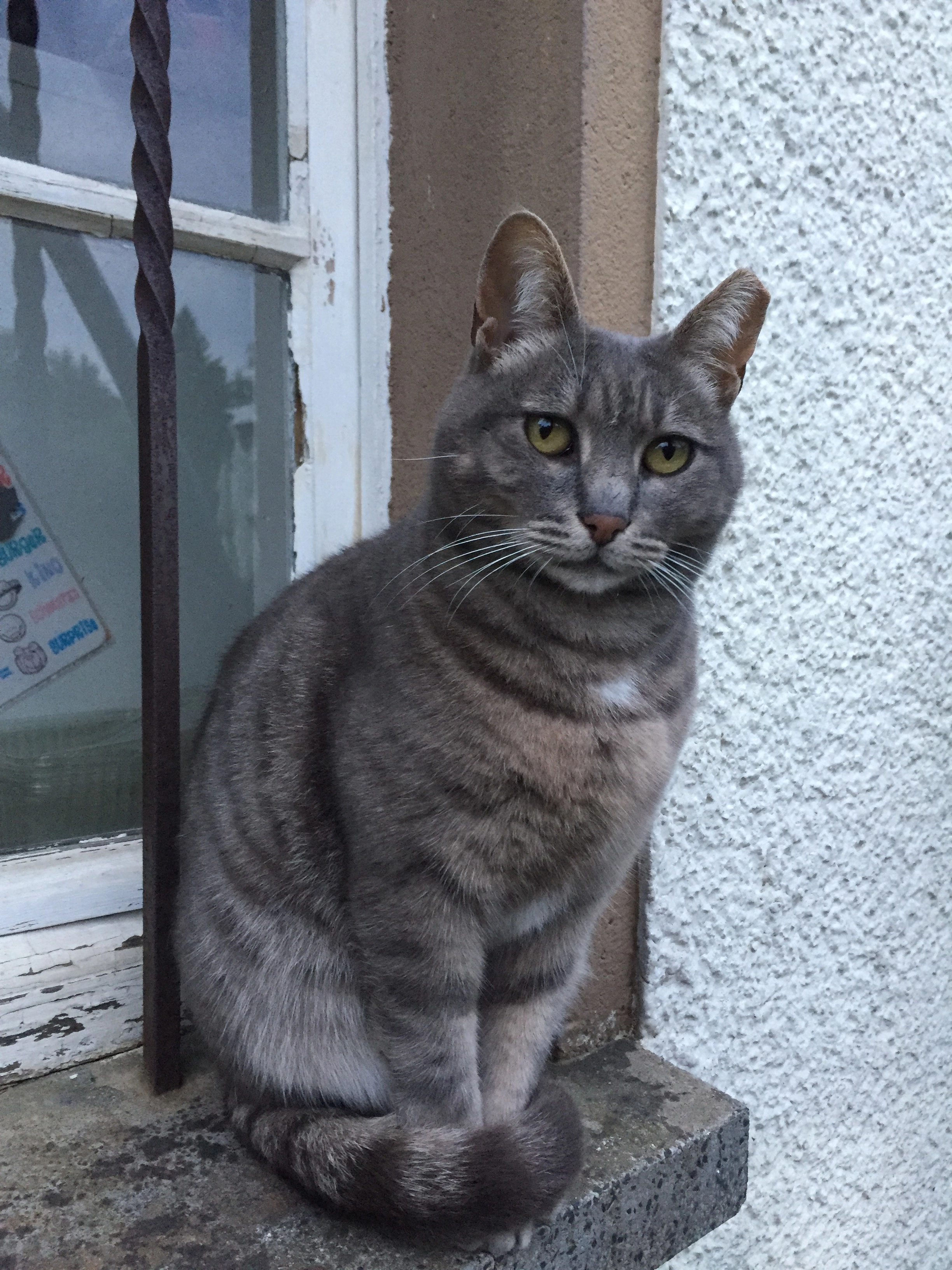 Selma  - In der Eck, Mittenaar