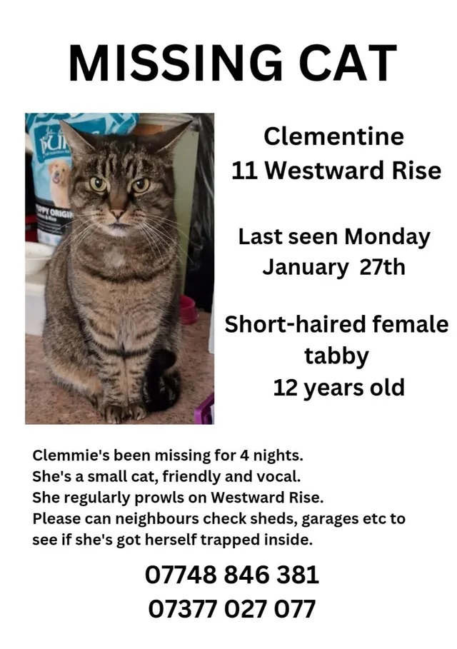 Clementine  - Westward Rise, Barry