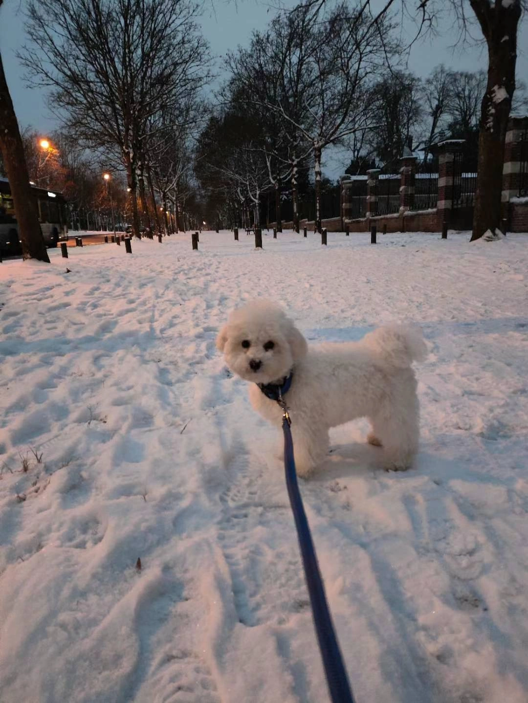 bingo - 6 Rue des Âcres, Compiègne