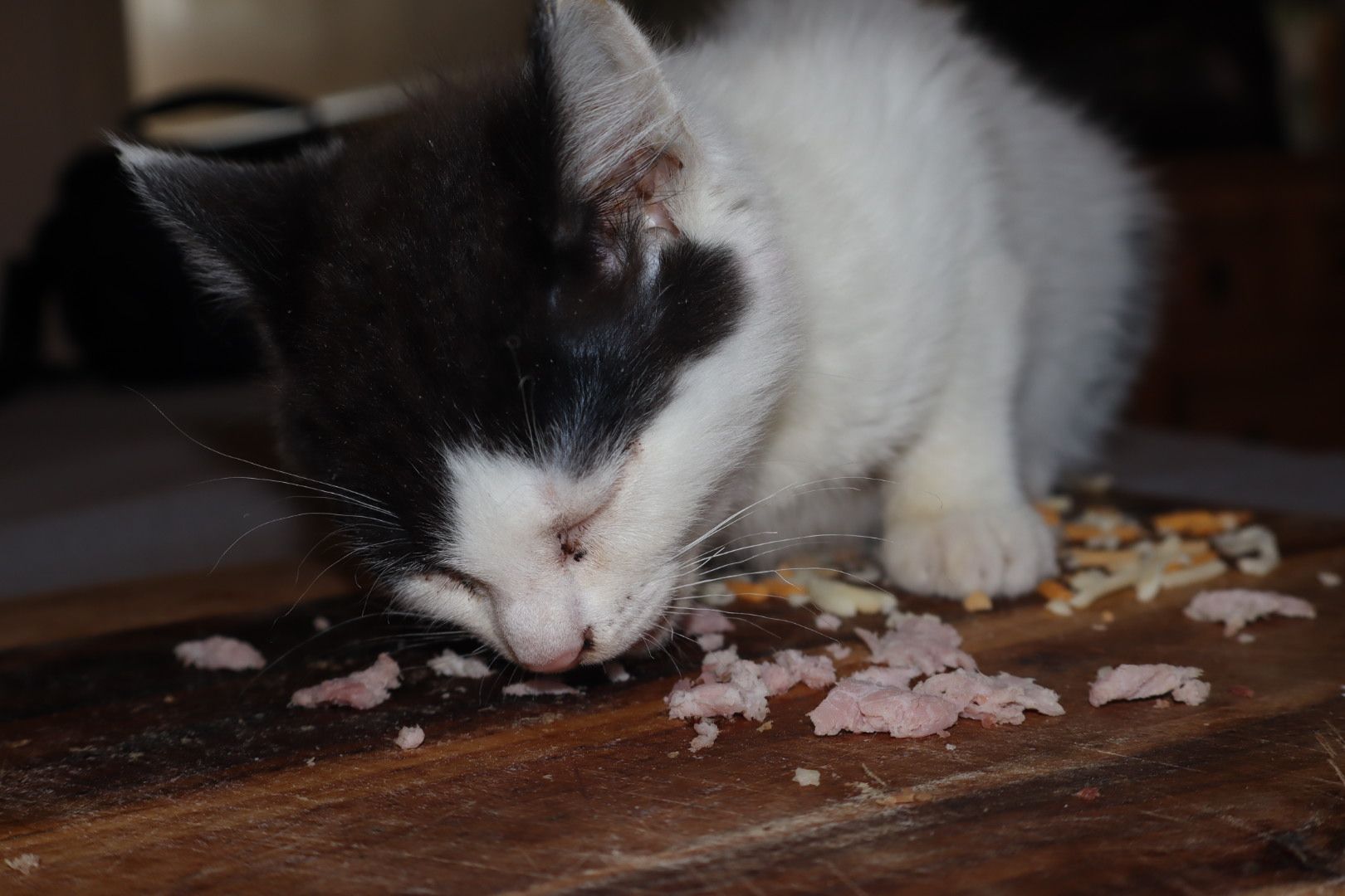Stefan - Saint Augustine Street, Taunton