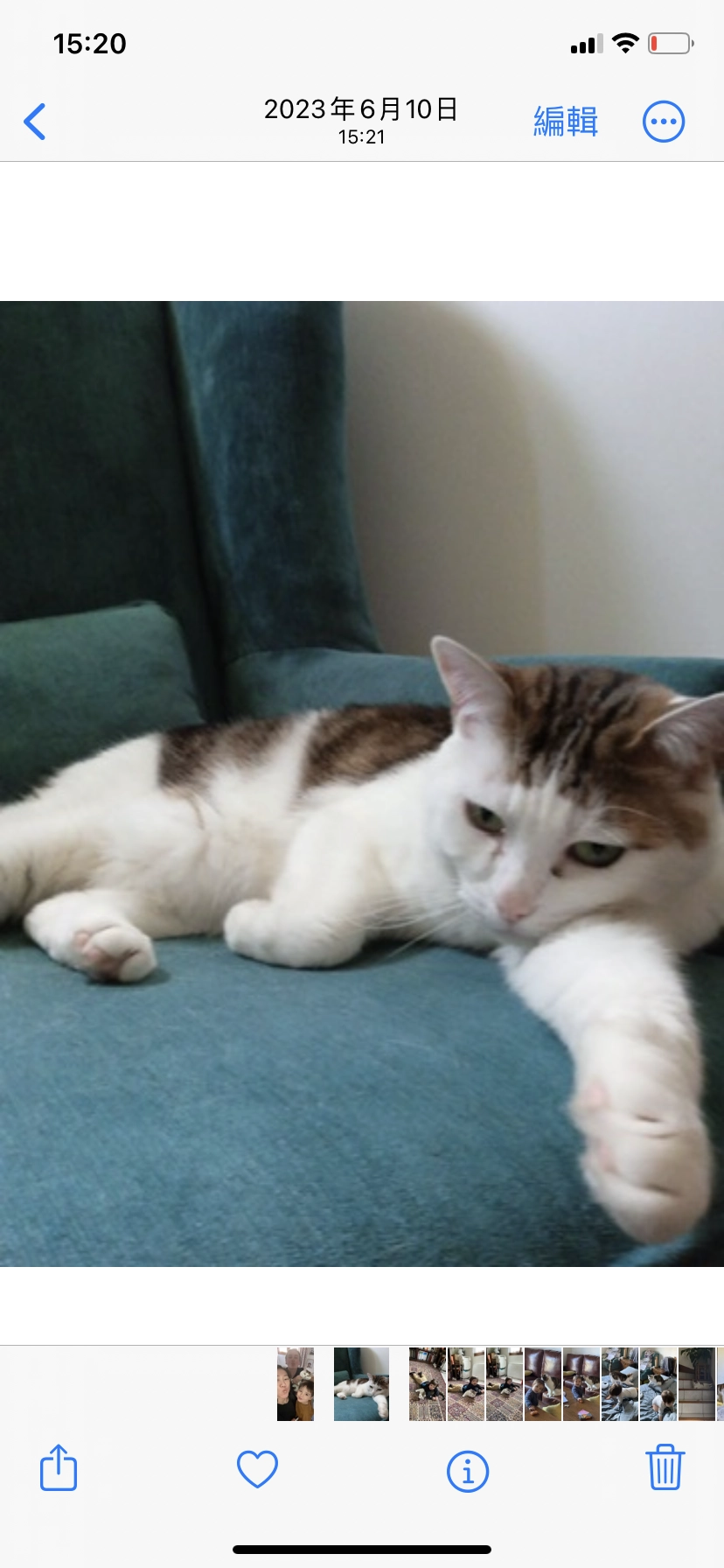 Loustic - 29 Chemin du Haut des Clos, Herblay-sur-Seine