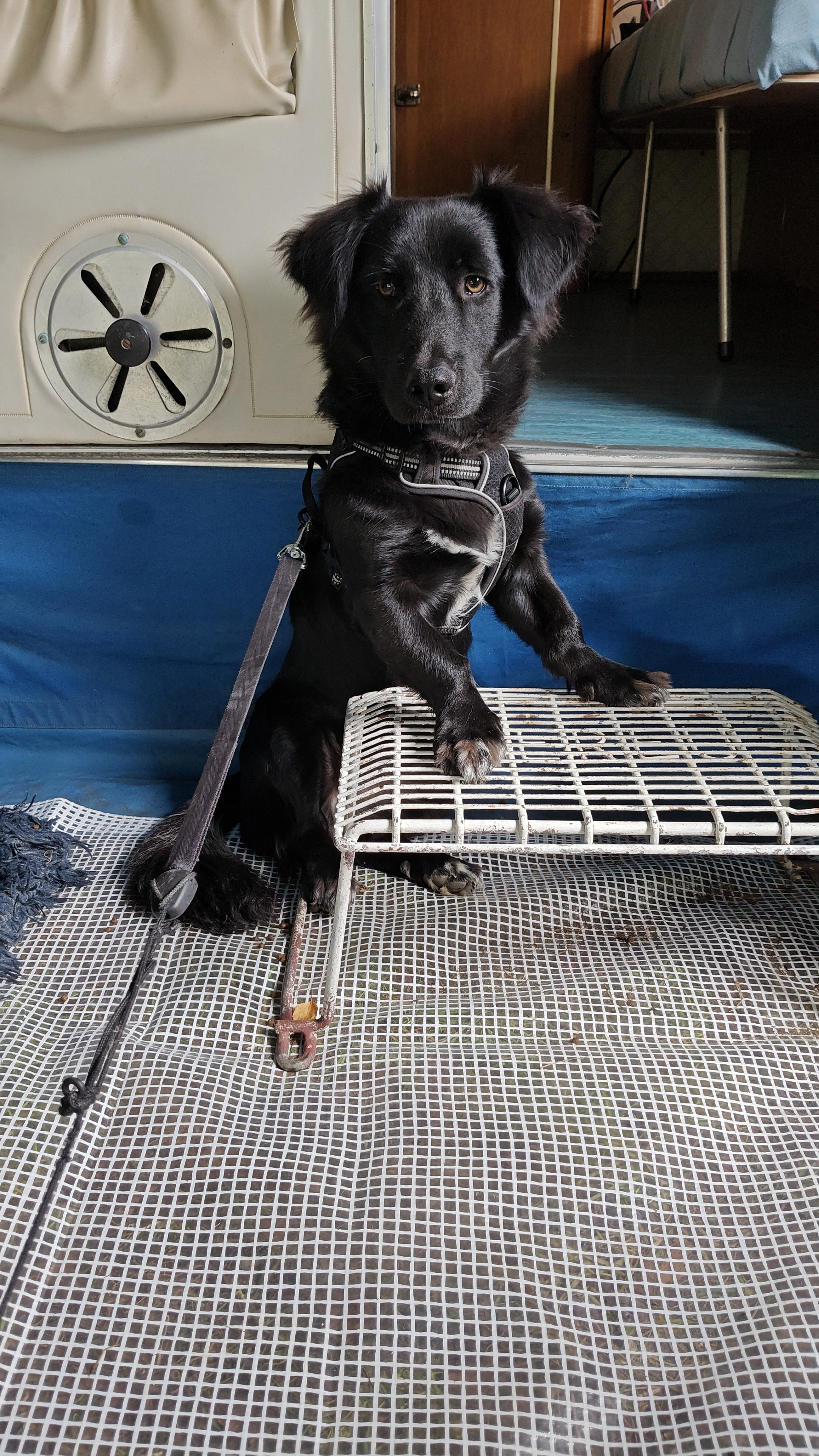 Willy - Ter Beke, Menen