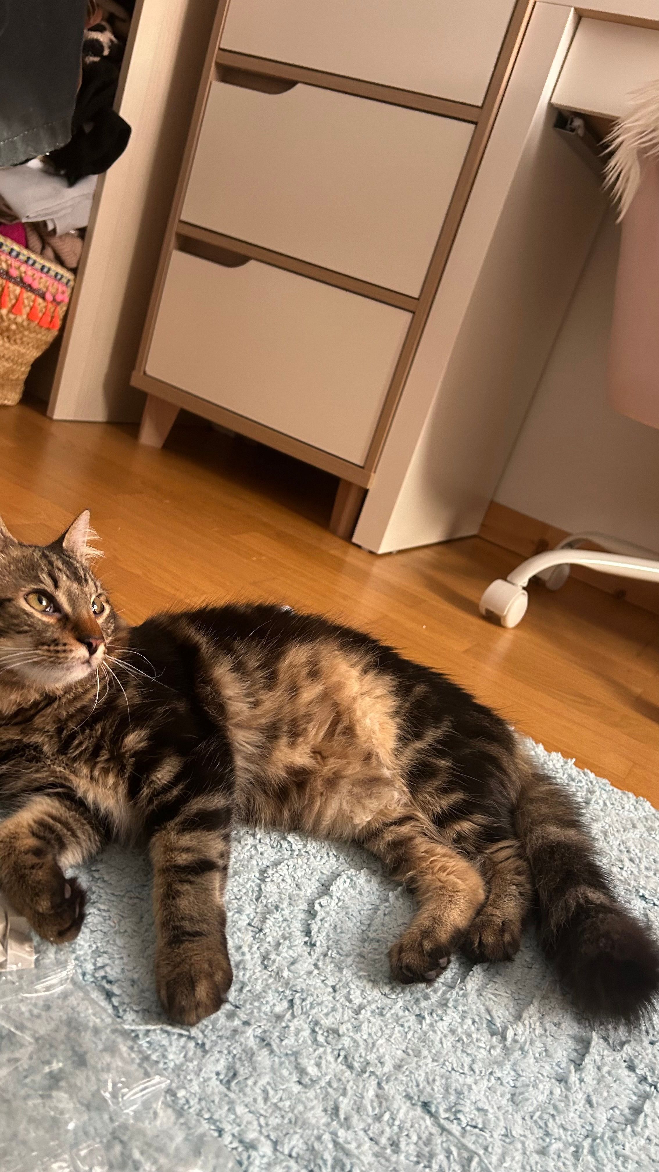 Imbir - Place Des Cloches, Ribeauvillé