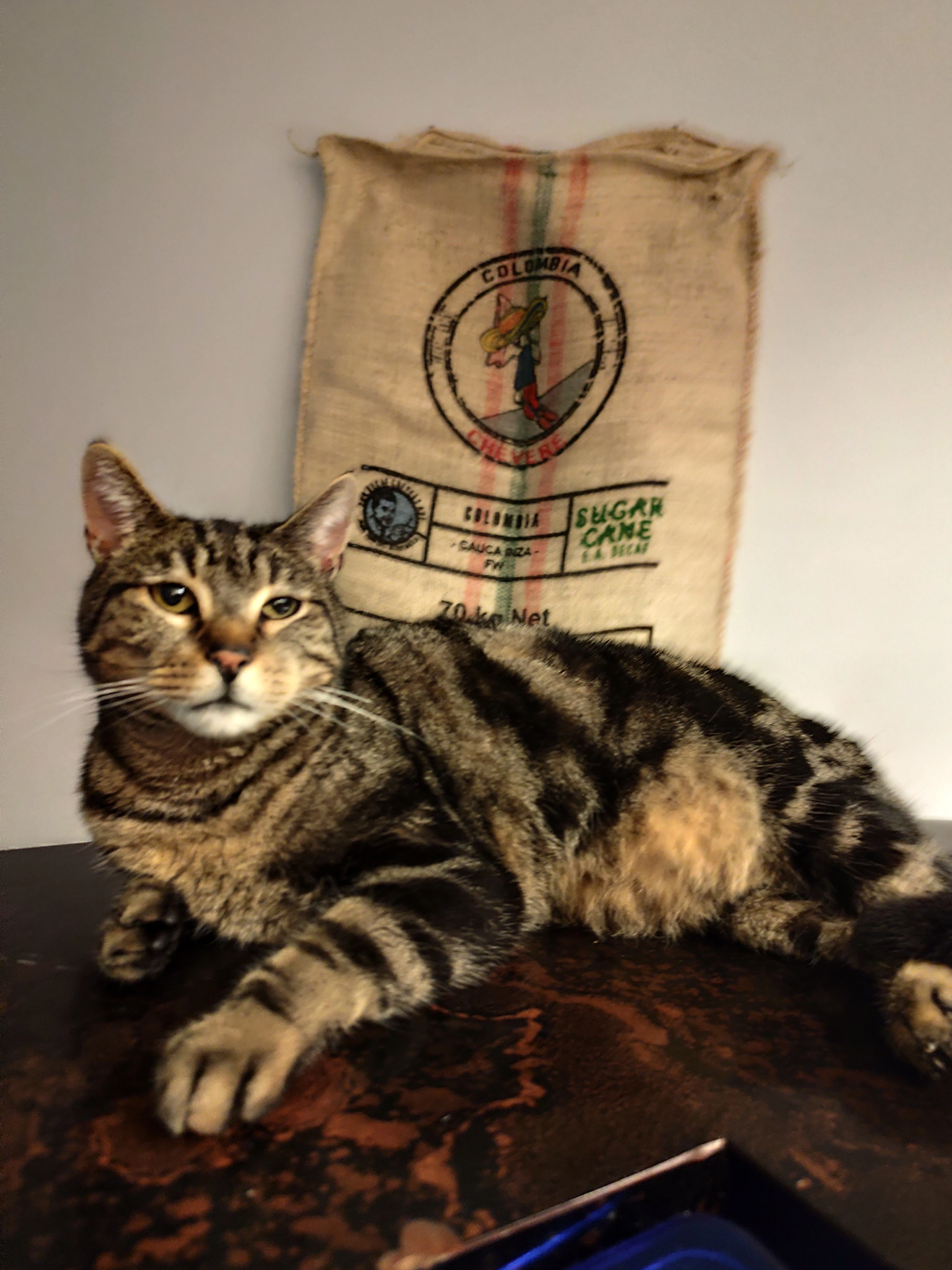 Danzo - 28 Route de Troyes, Darois