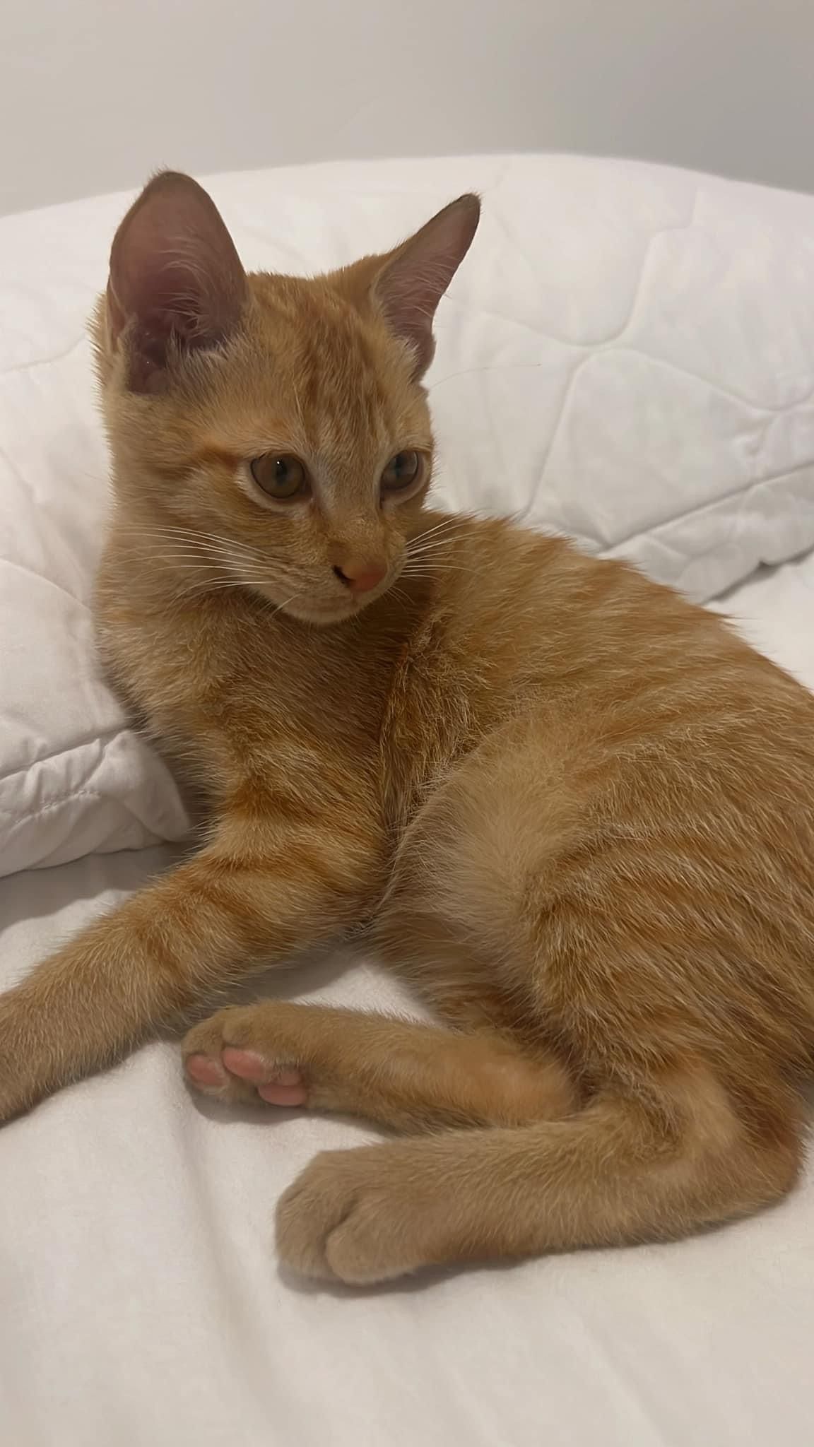 Aiko - ถนนพระบารมี, Kathu