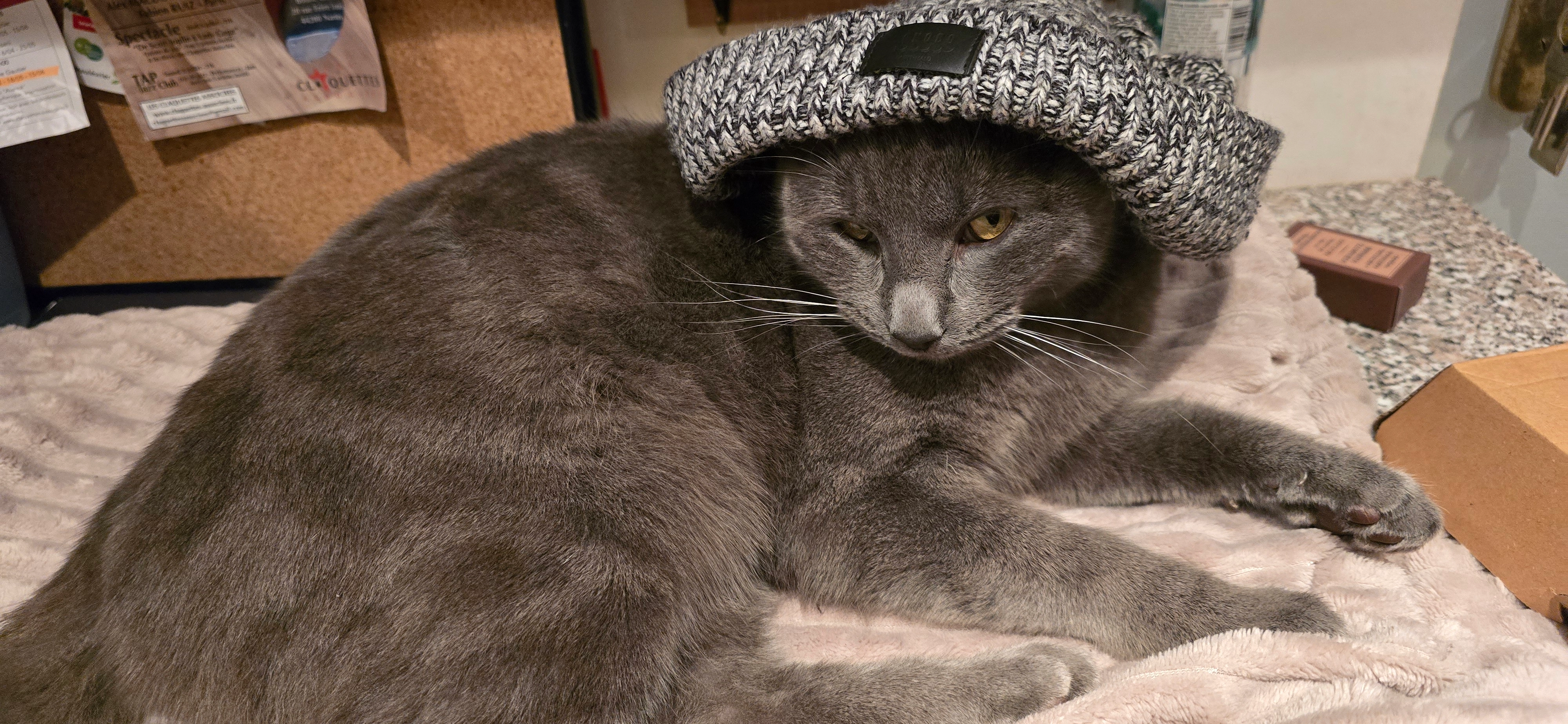 Calisson - Avenue Chopin, Basse-Goulaine