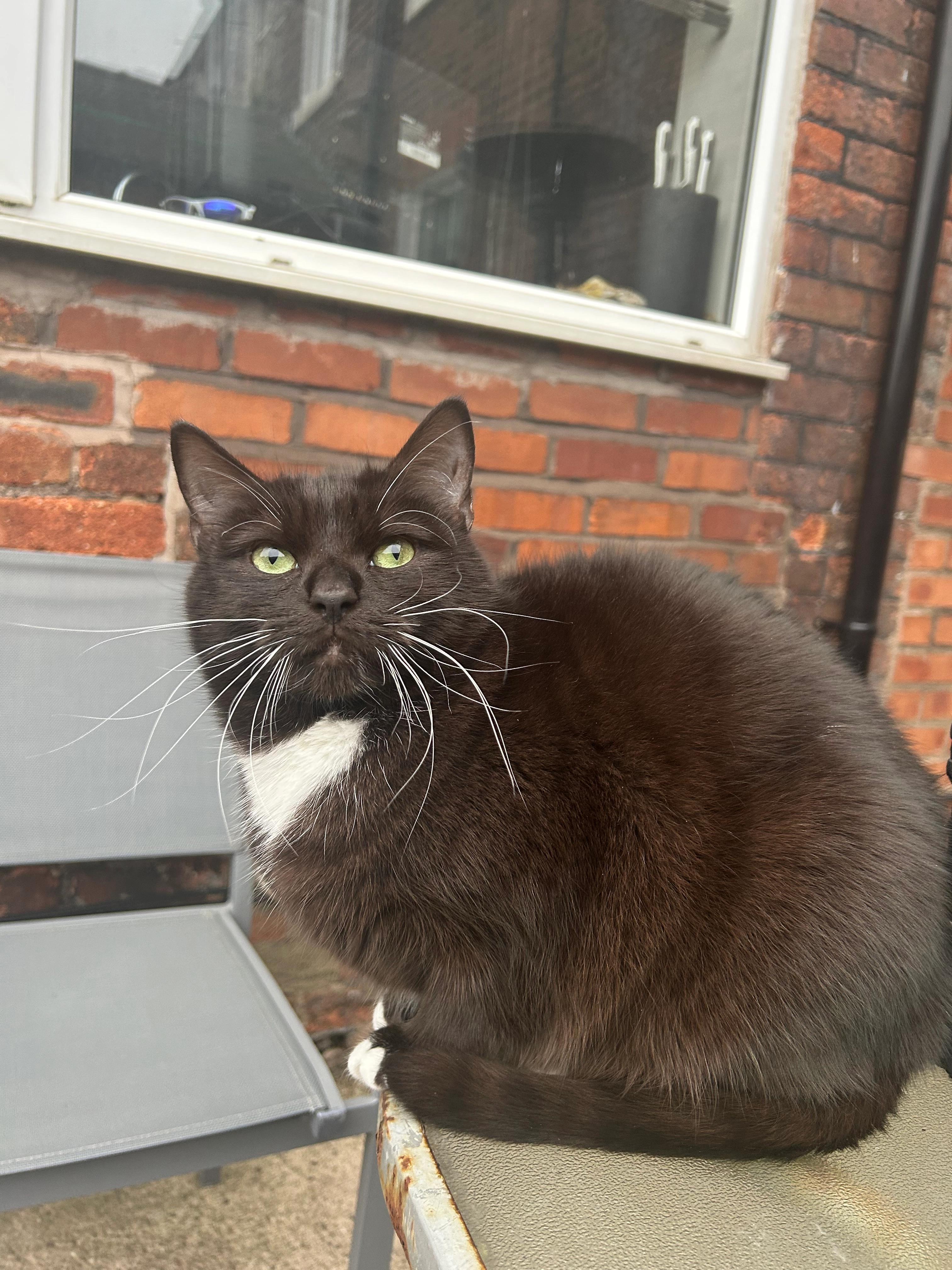 Apollo - Harraby Green Road, Carlisle