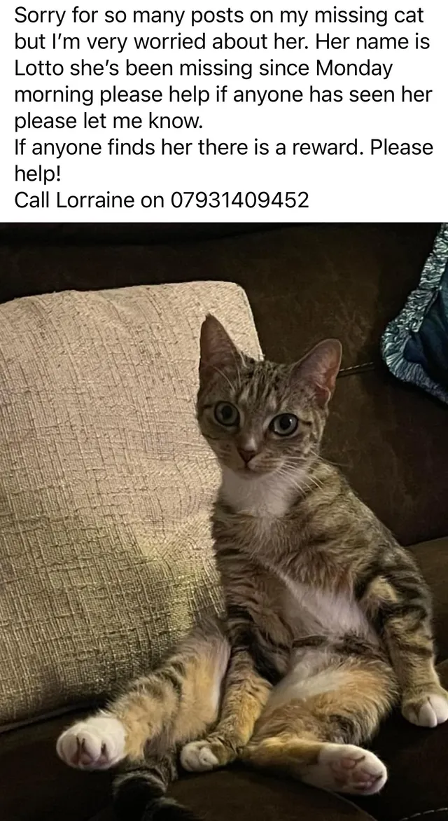 Lotto - Minskip Close, Sunderland