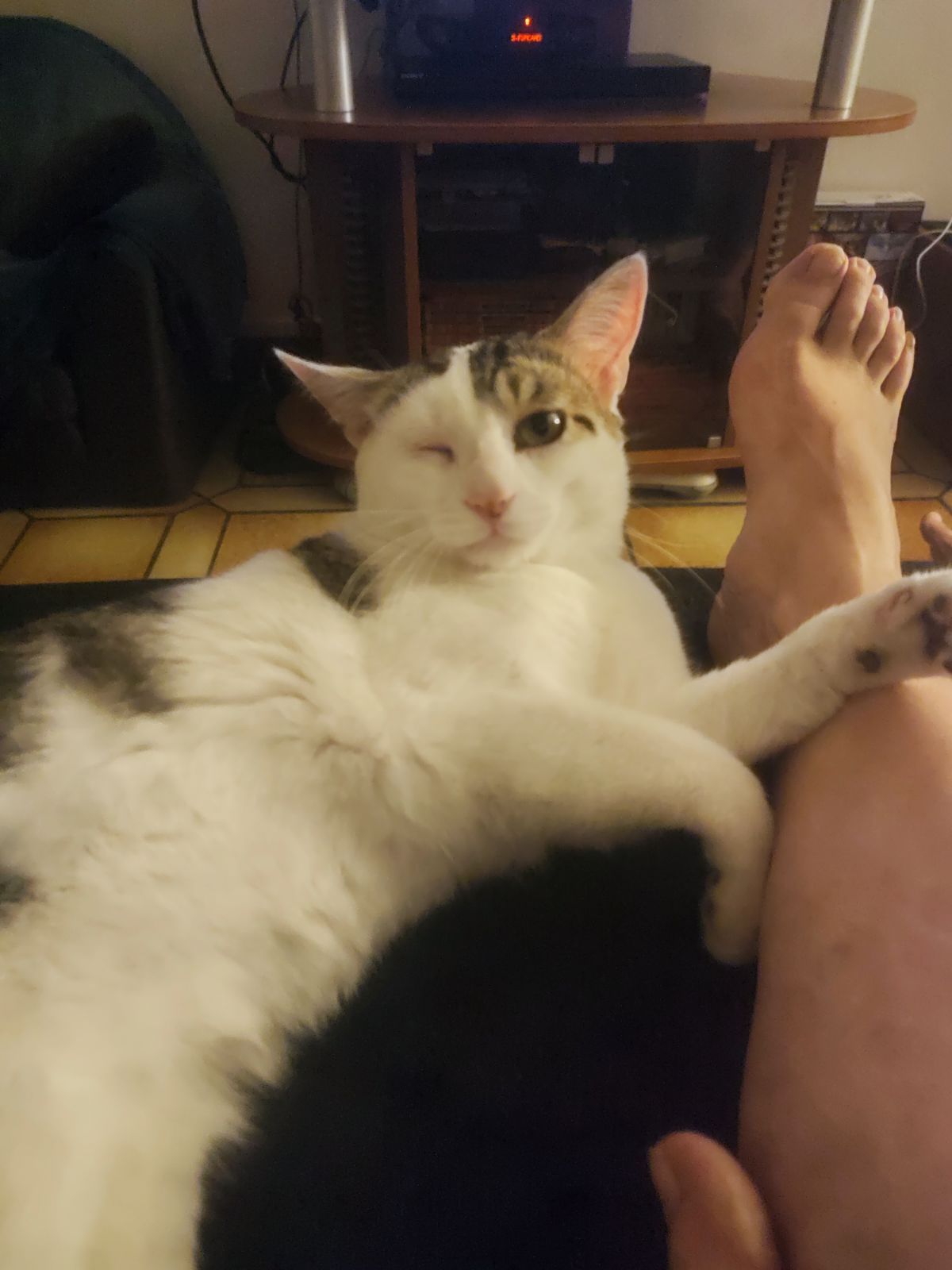 Willy - 30 Rue Jean Jaurès, Saint-Maximin