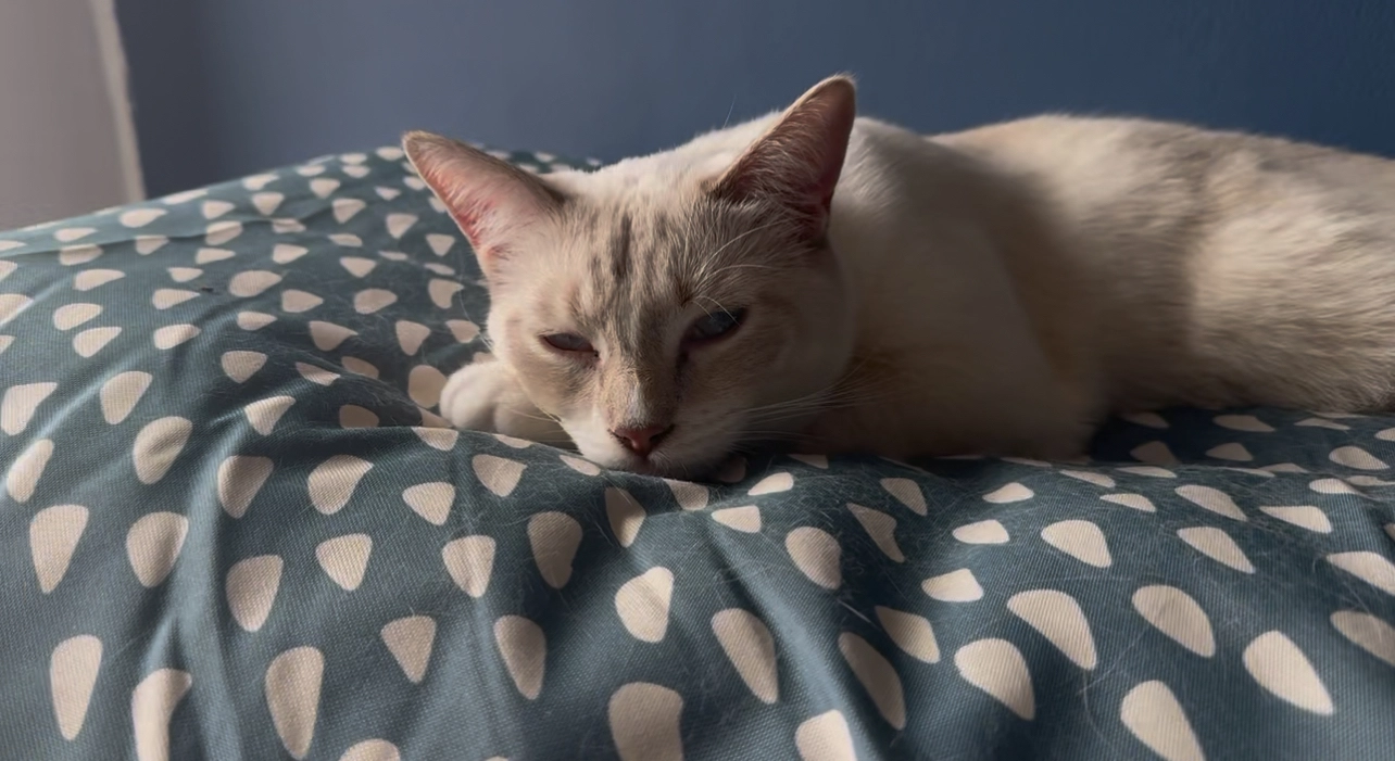 Wilson - 16 Rue du Puits, Charleroi