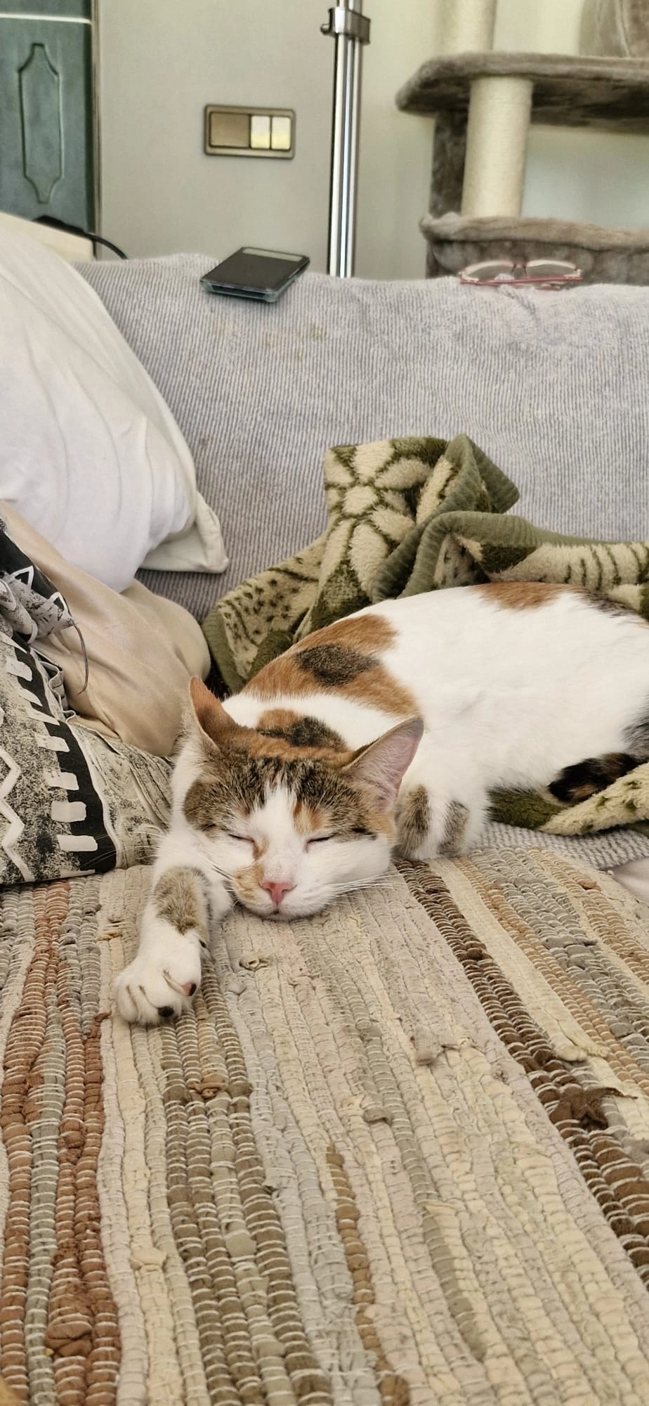 Puppi  - Kirchenstraße 16, Maria Rain