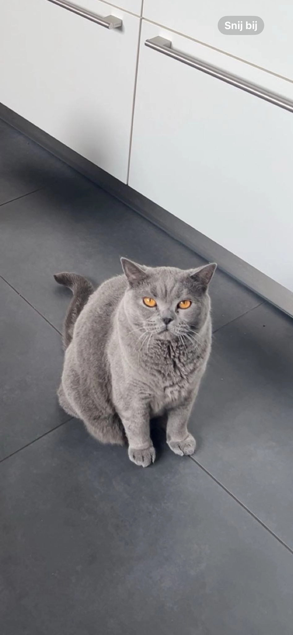 Leo - Rodenburgstraat, Arnhem