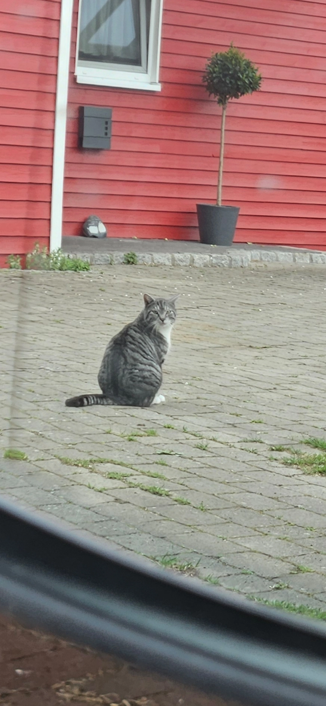 Charlie  - Hauptstraße, Voltlage