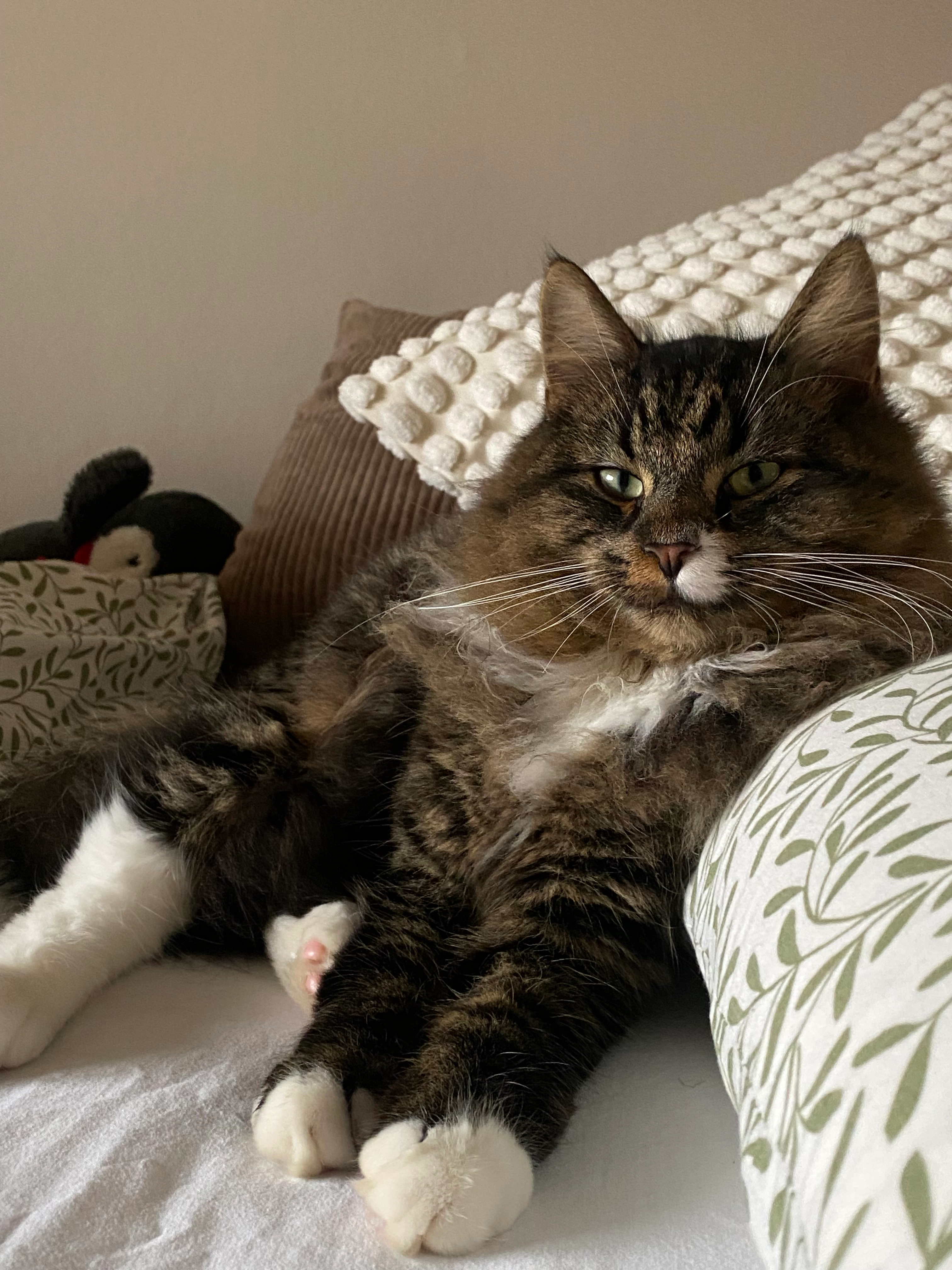 Woody - Wevinnestraat 14, Diest