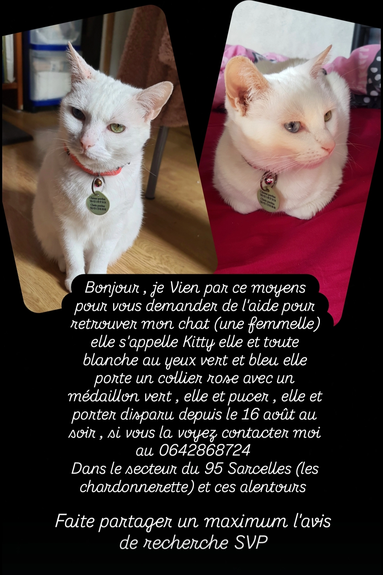 Kitty - 45 Rue du Four Défait, Sarcelles