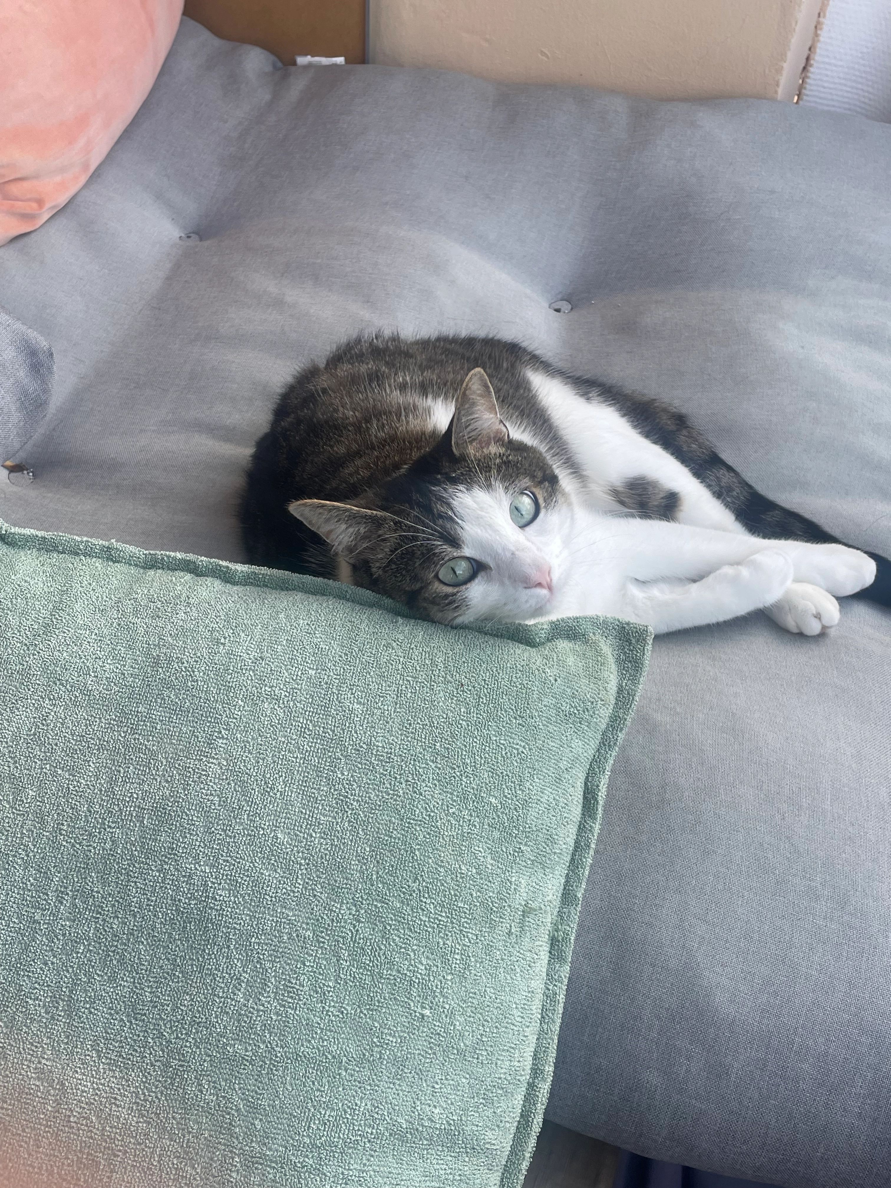 Clony - Schwarzenbacher Straße, München