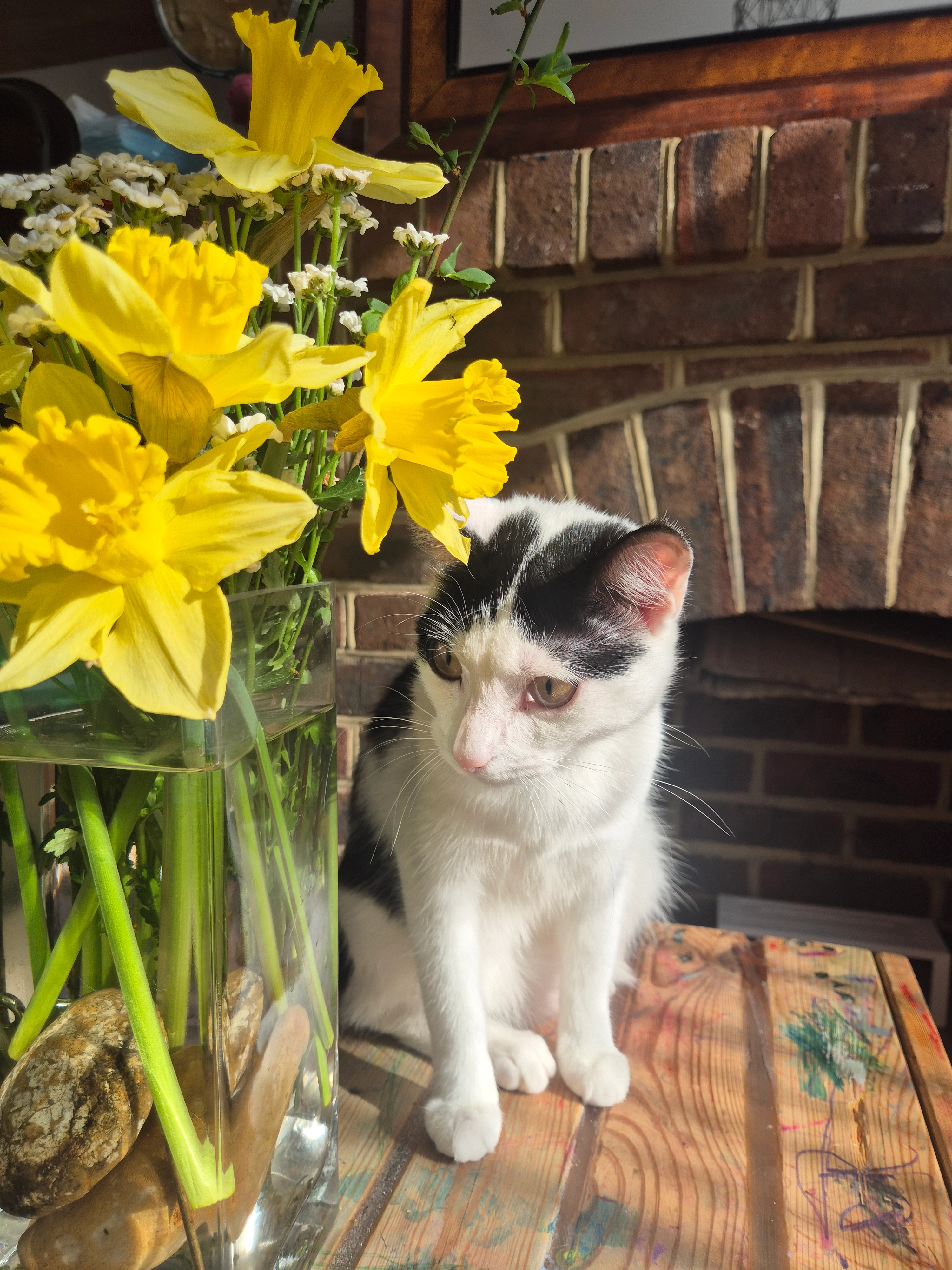 Kaja - Melbourne Road, Eastbourne