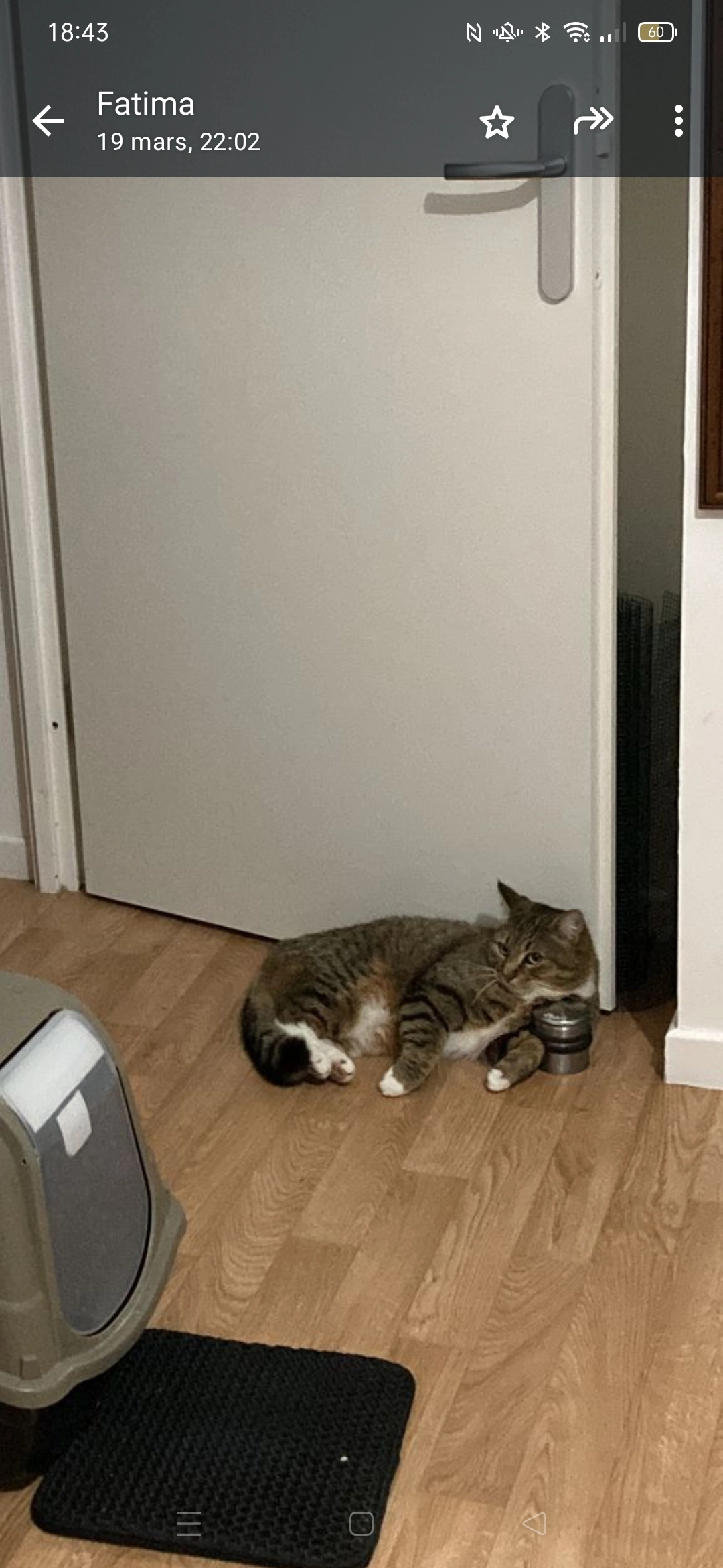 Minato - Rue André Chapart, Rosny-sur-Seine