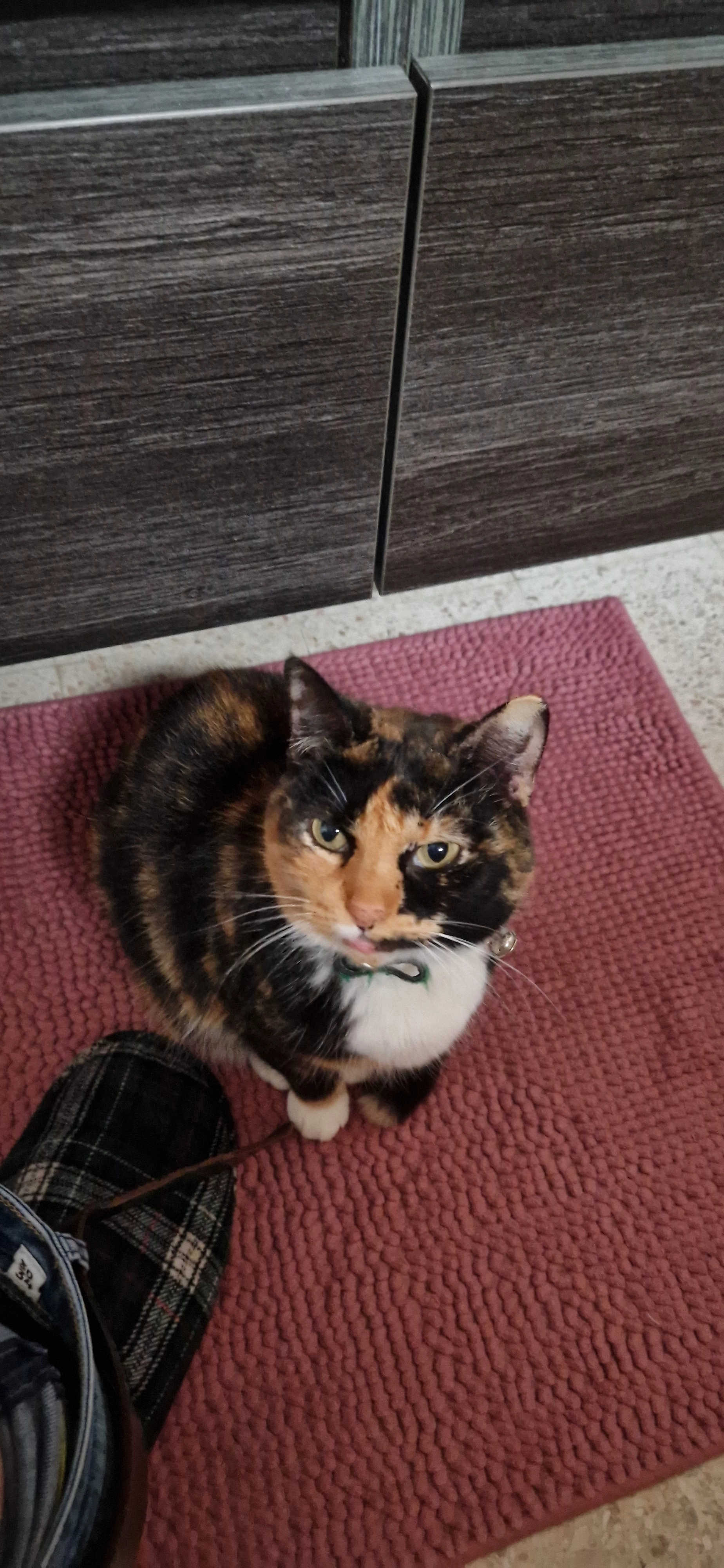 Rhéa - Rue des Genêts, Saint-Nicolas