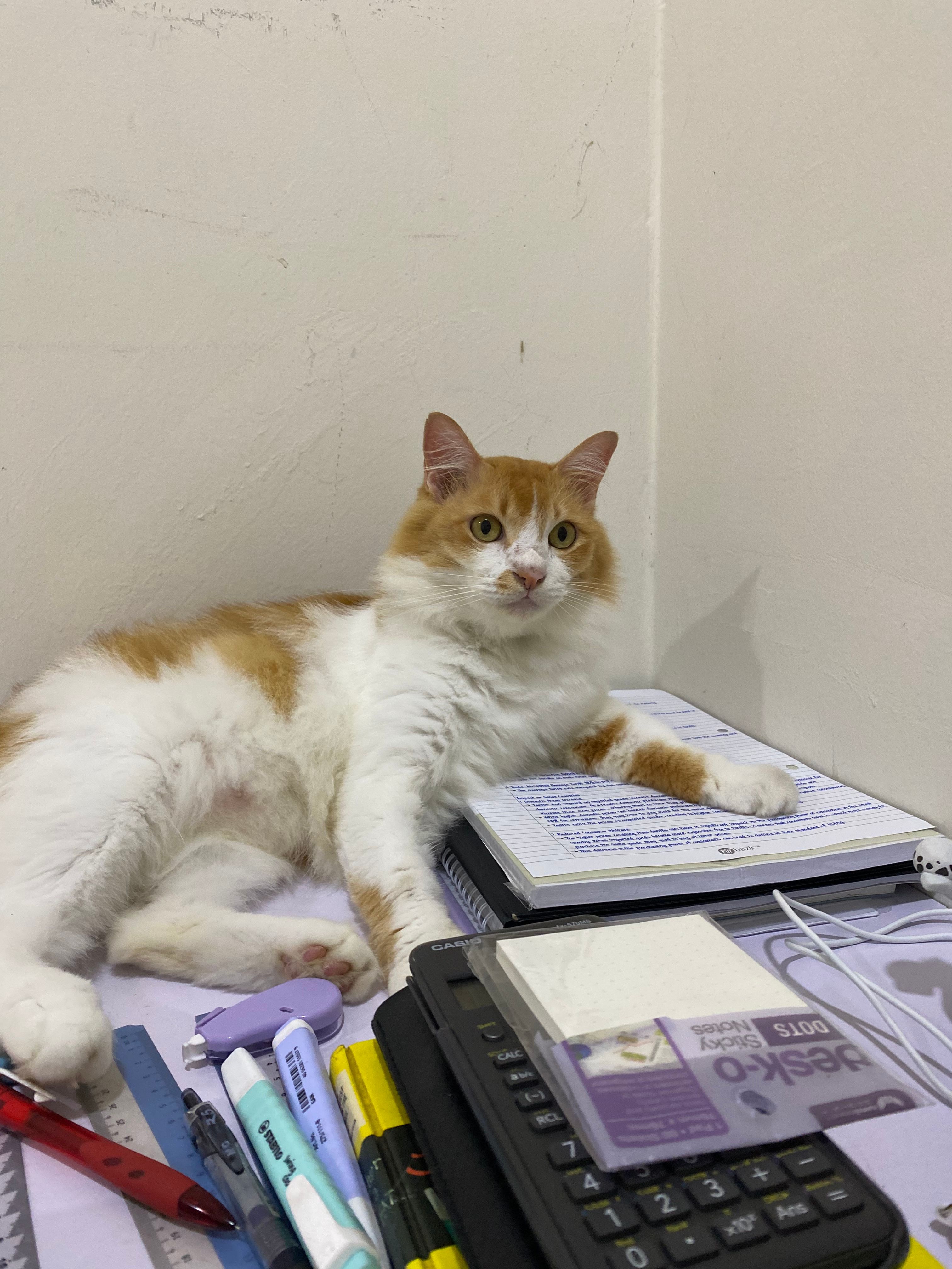 Ruan  - 71450, Seremban