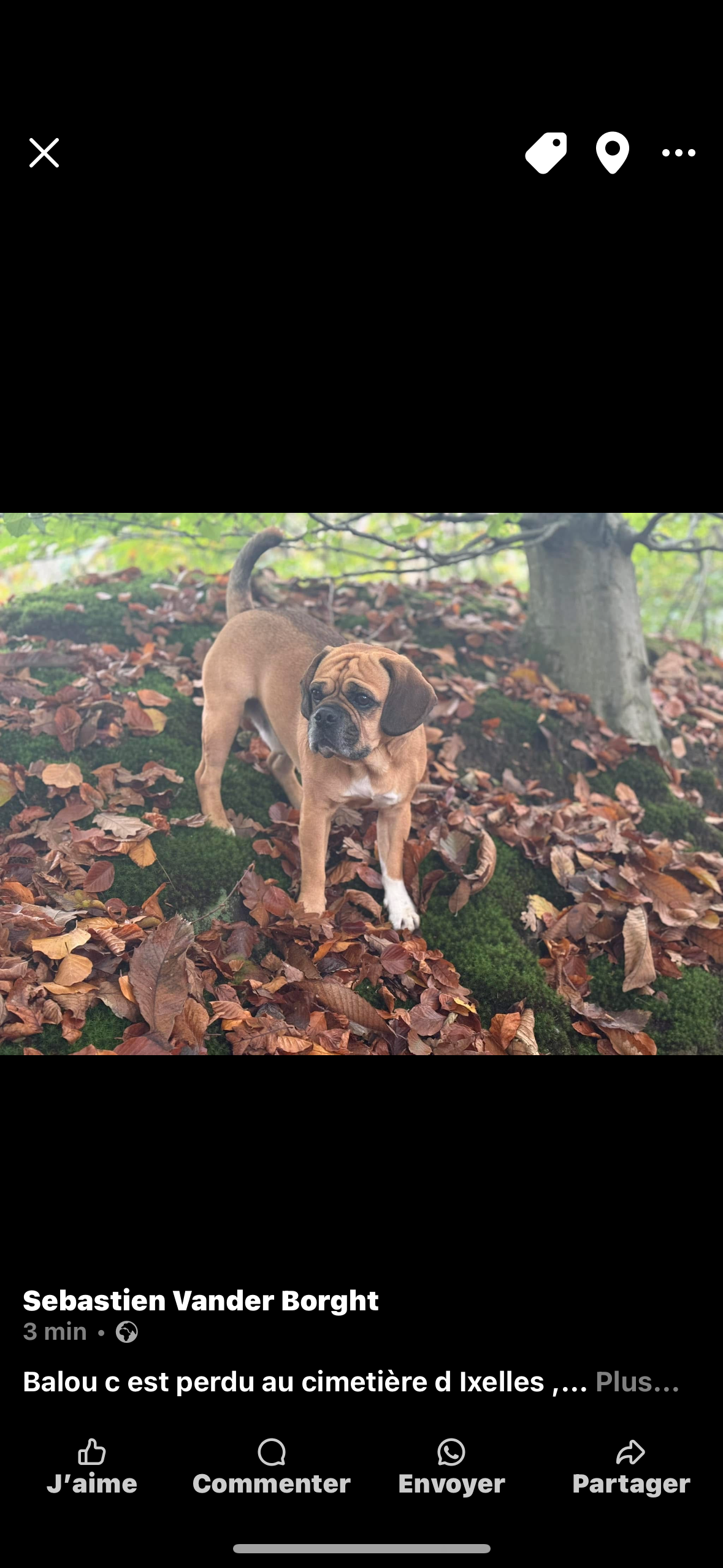 Balou - Avenue de l'Université 104, Ixelles